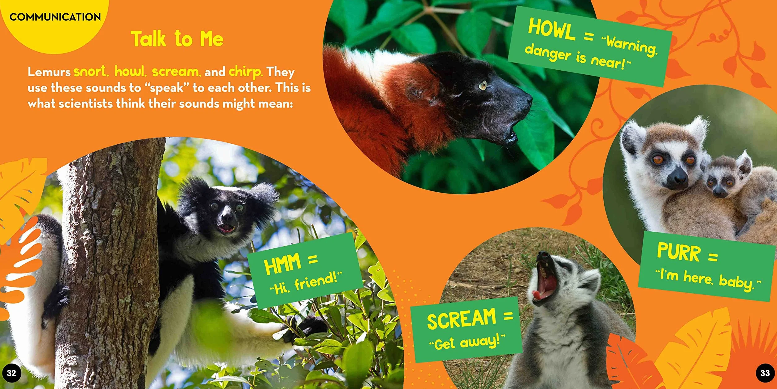 Go Wild! Lemurs