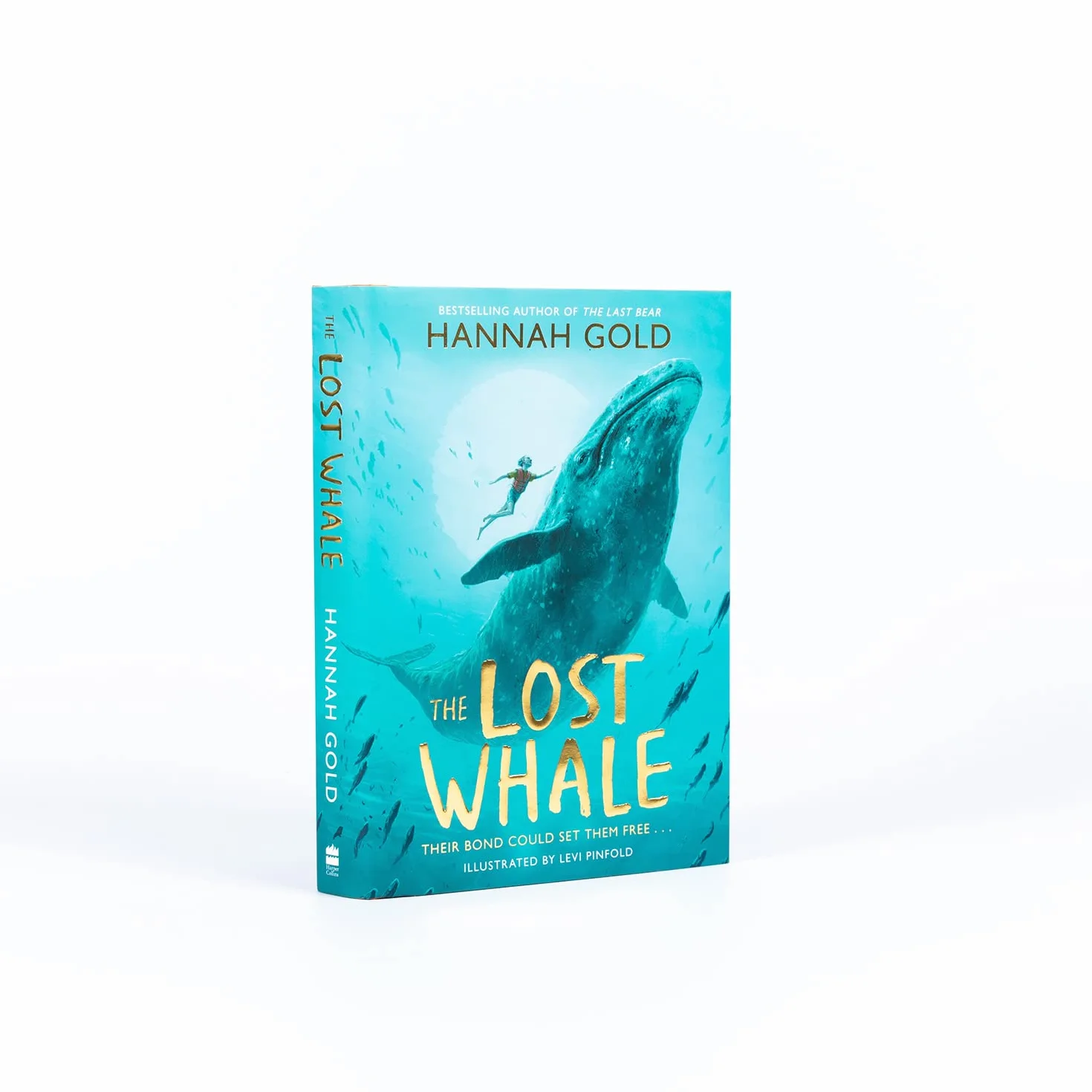 The Lost Whale: A powerful animal adventure story for children, from the bestselling author of The Last Bear