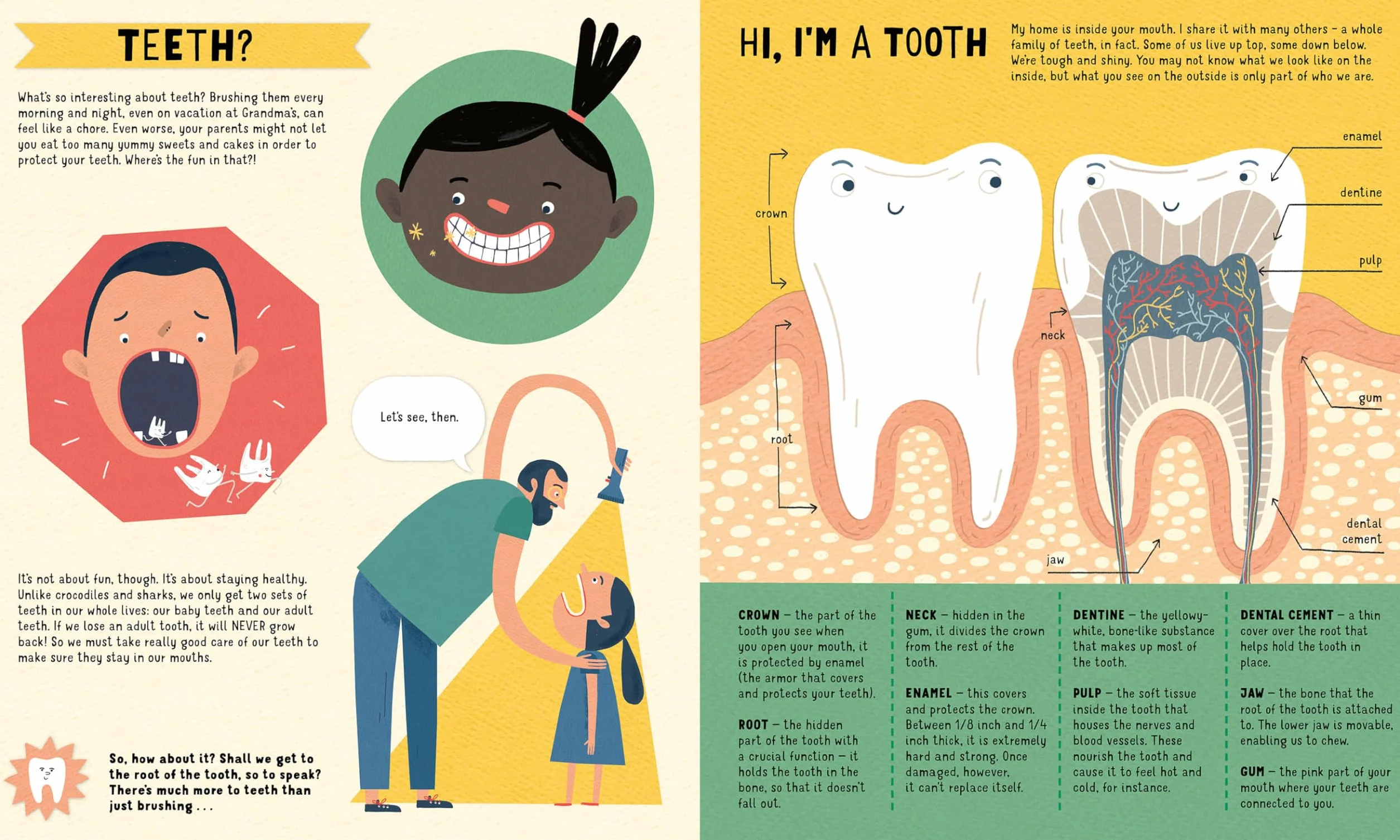 Teeth: You Only Get Two Sets
