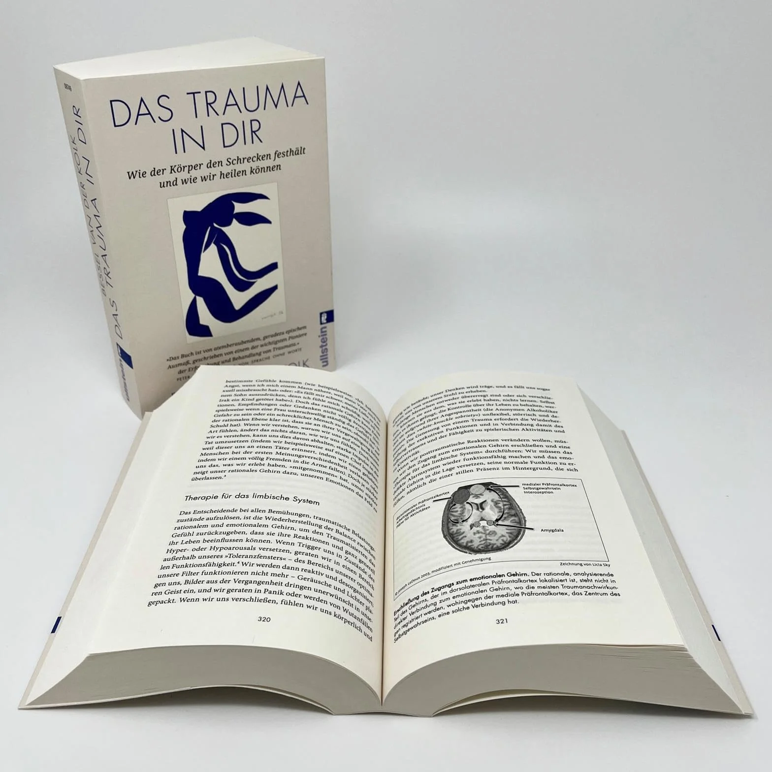 Das Trauma in dir: Wie der Körper den Schrecken festhält und wie wir heilen können | Verkörperter Schrecken Taschenbuch