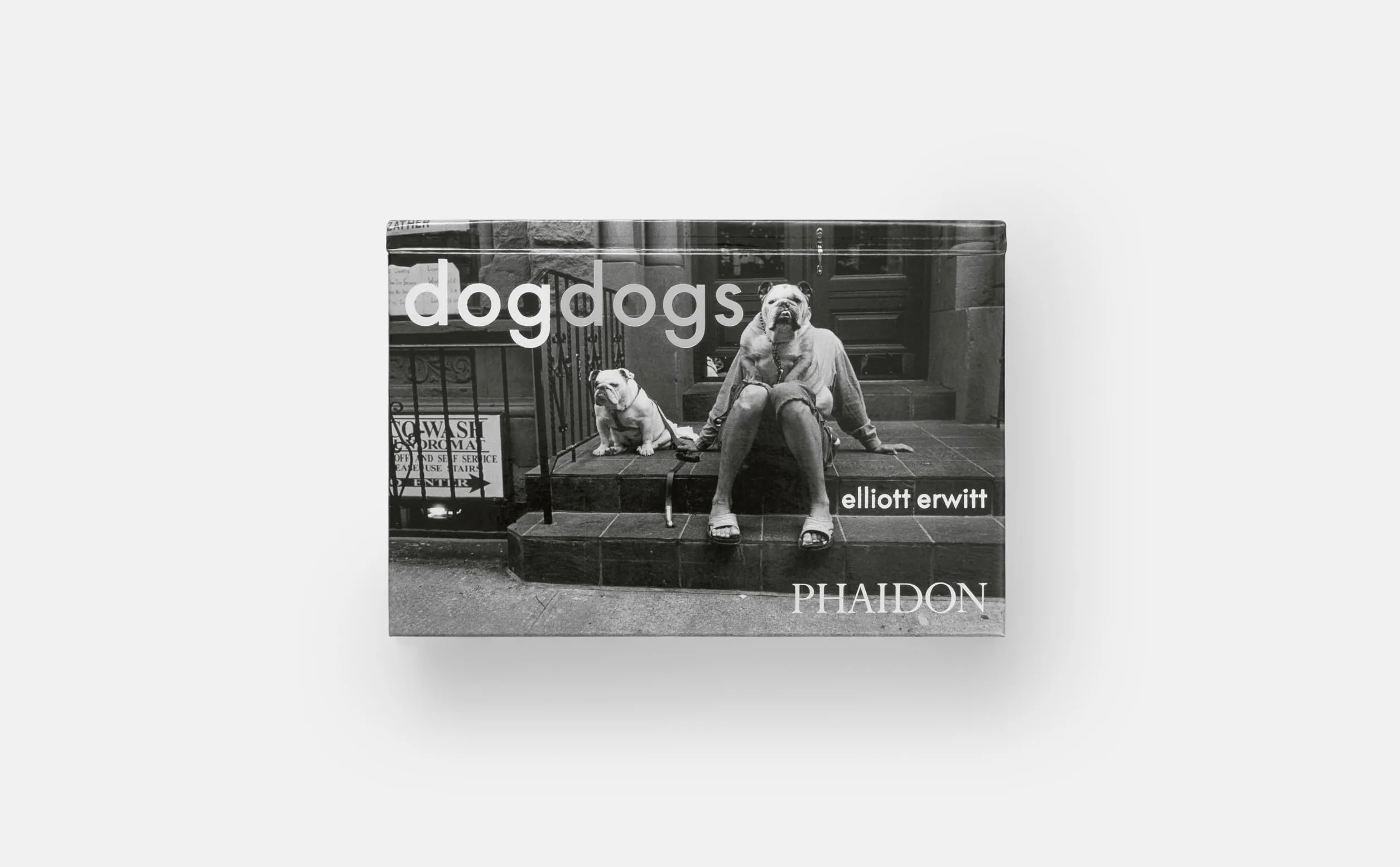 DogDogs