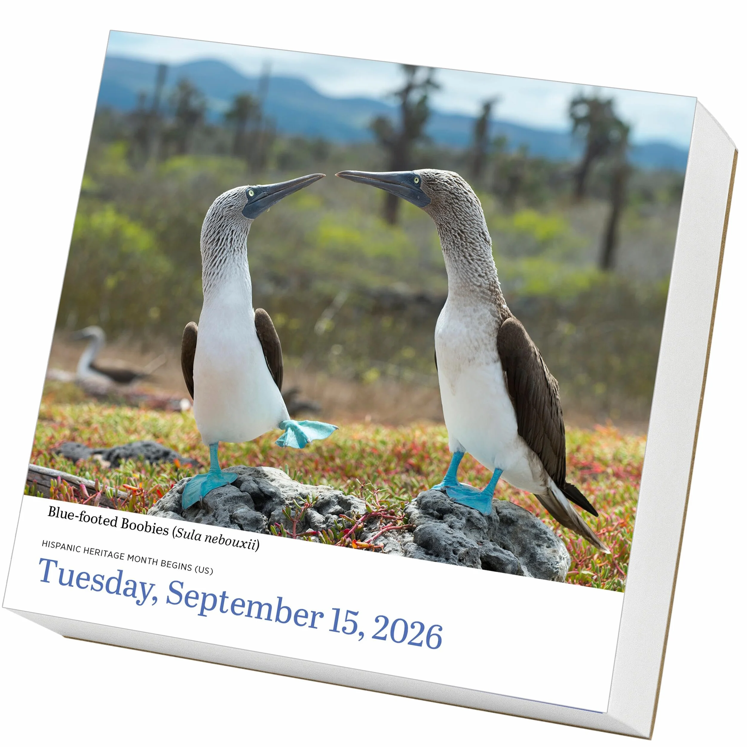 Audubon Birds Page-A-Day Calendar 2026