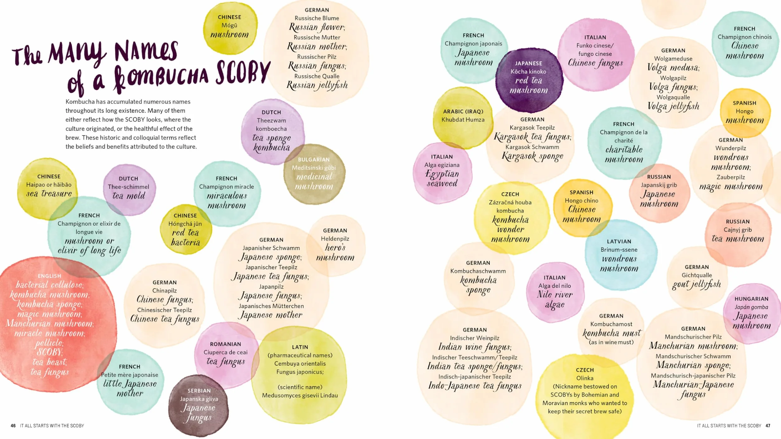 The Big Book of Kombucha: Brewing, Flavoring, and Enjoying Fermented Tea
