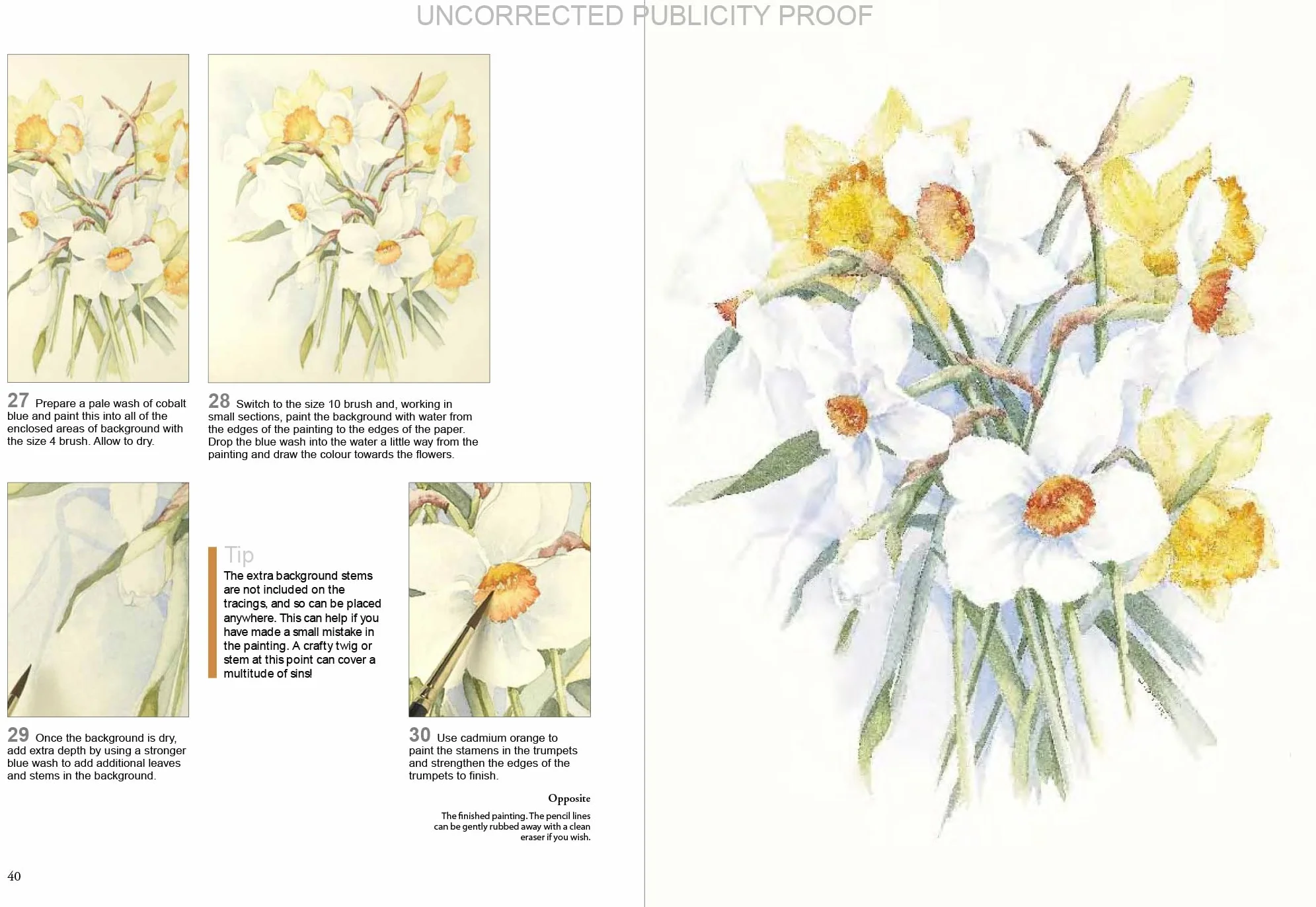 Watercolour Flowers Paint Set