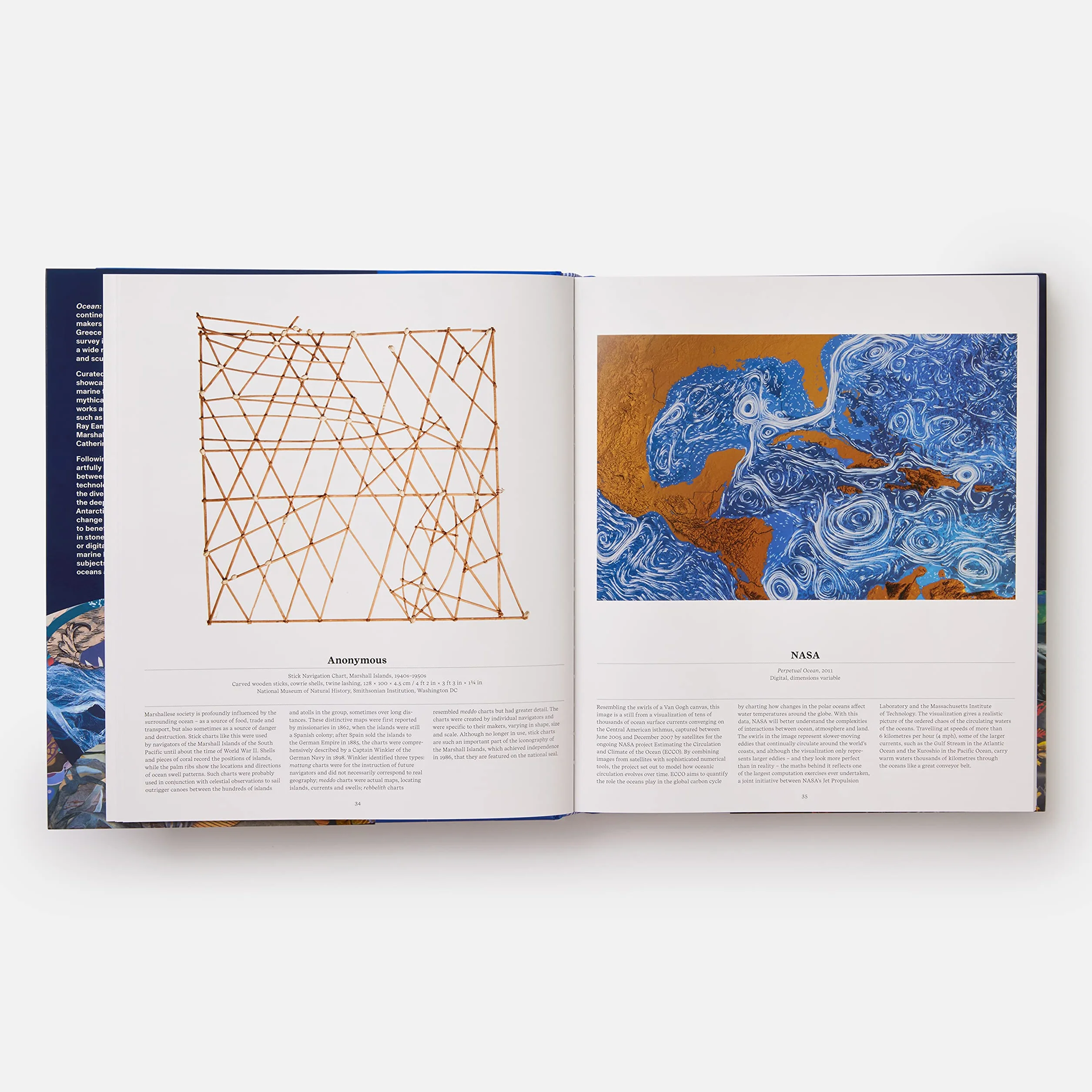 Ocean: exploring the marine world