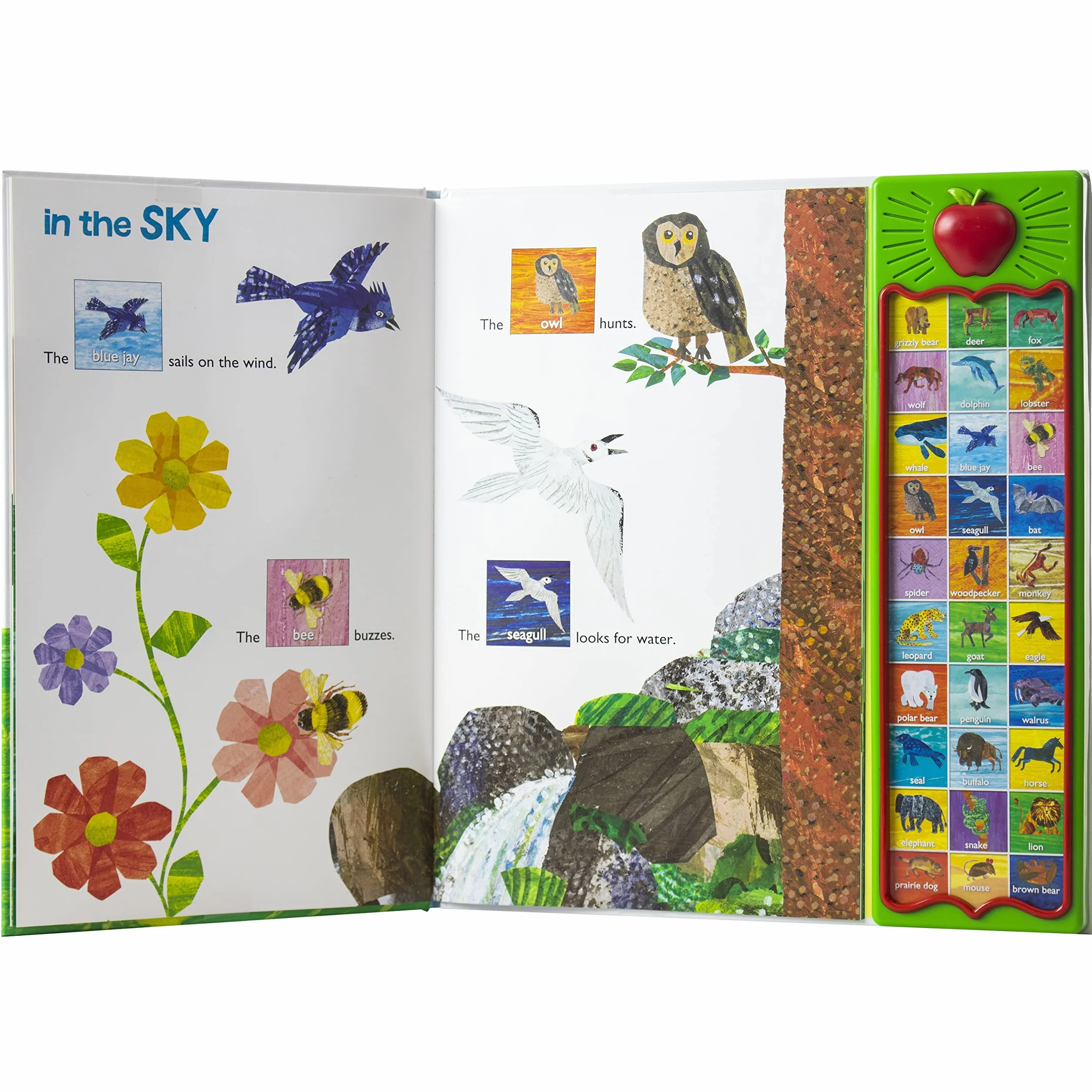Eric Carle: Hear Bear Roar Sound Book