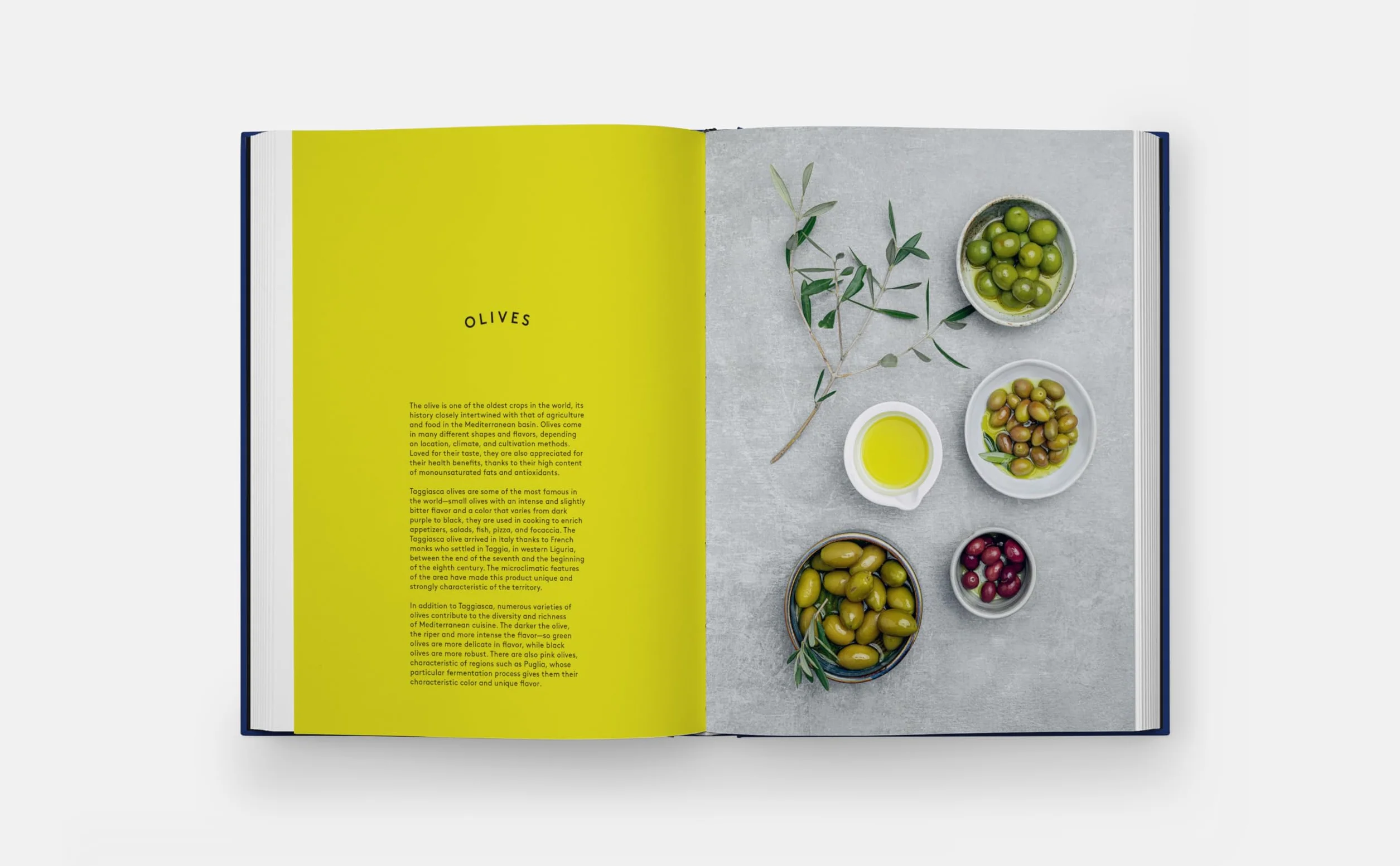 The Book of Pasta