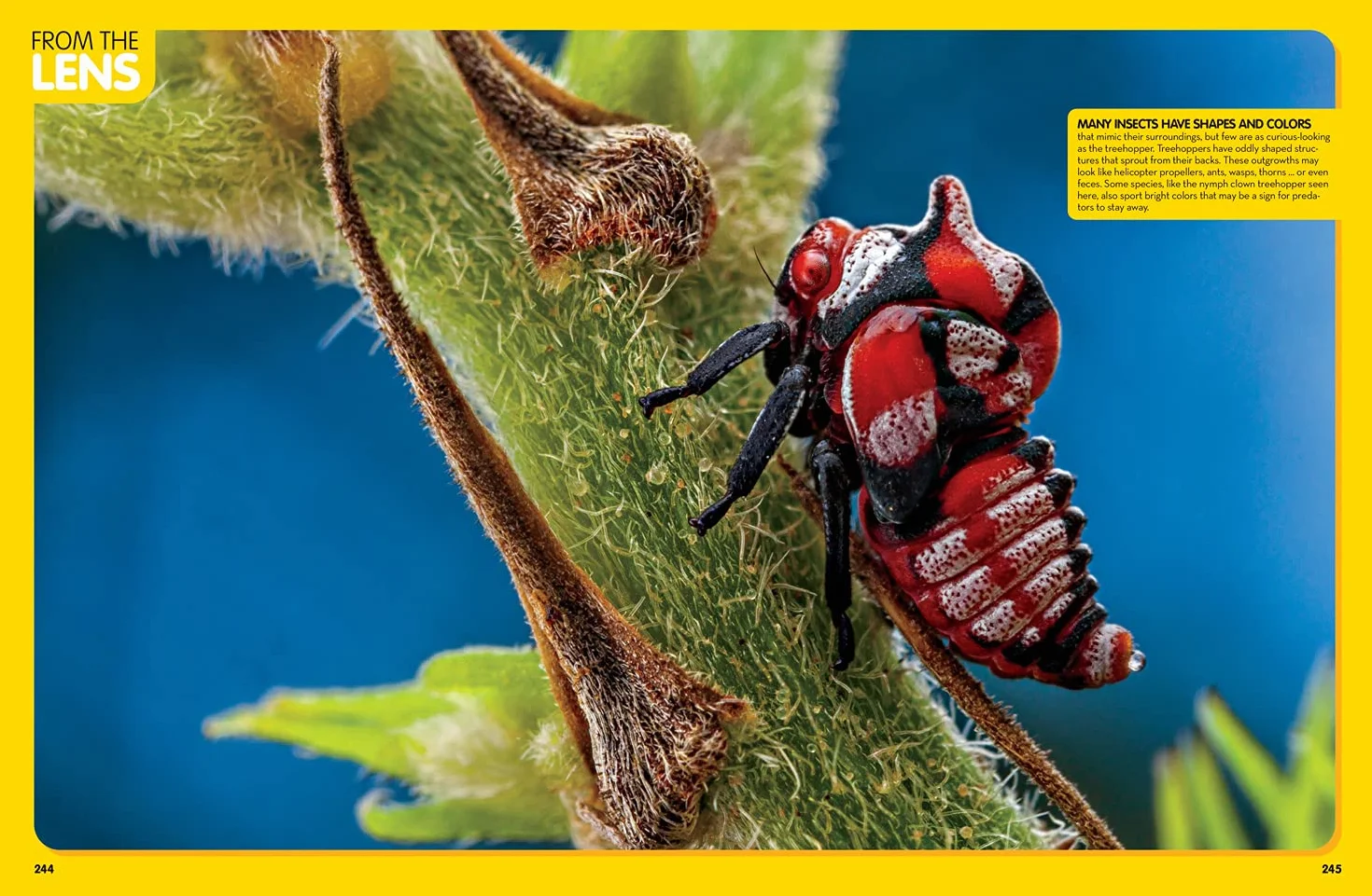 Animal Encyclopedia: 2,500 Animals with Photos, Maps & More