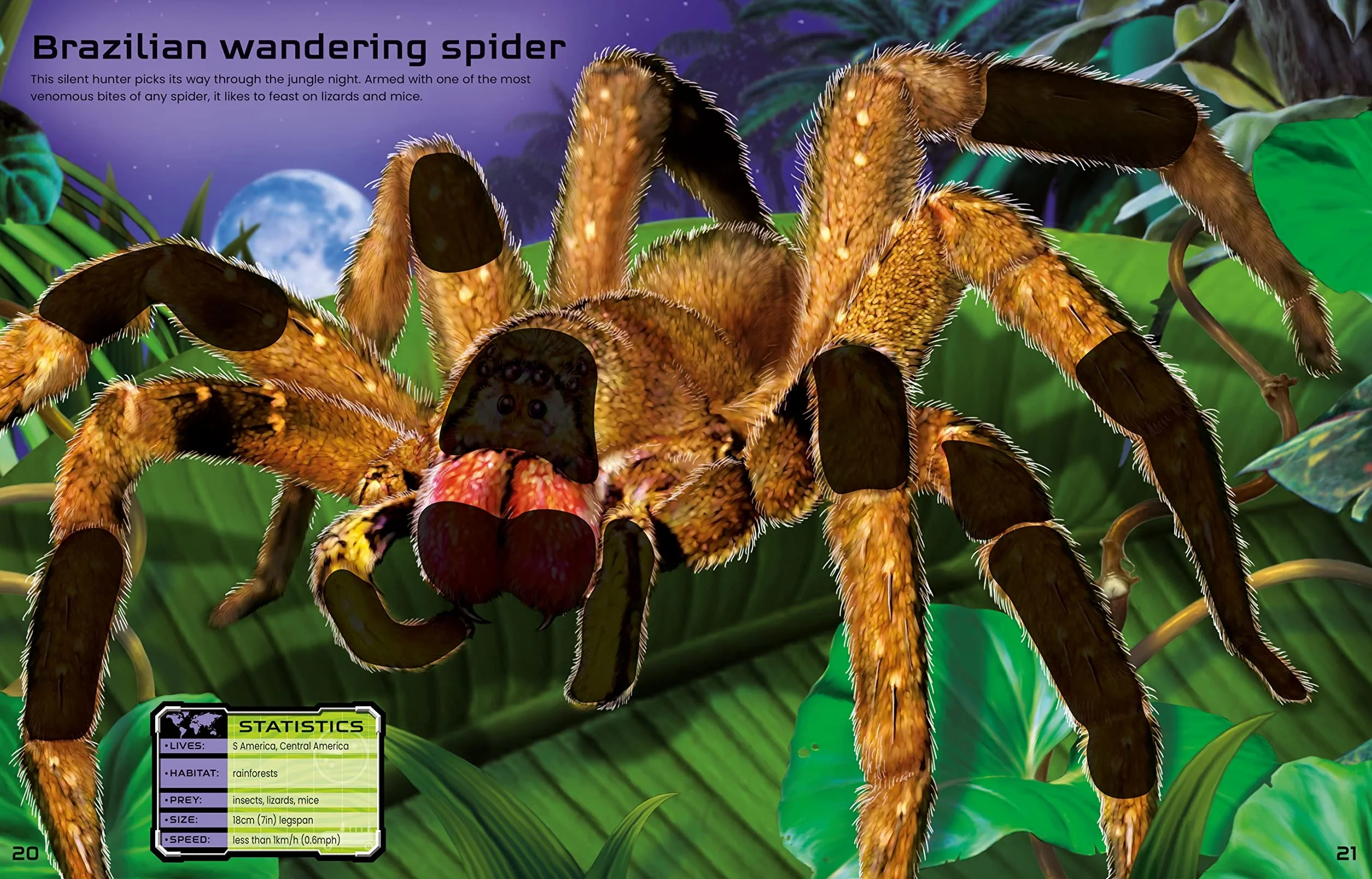 Build Your Own Deadly Animals Sticker Book