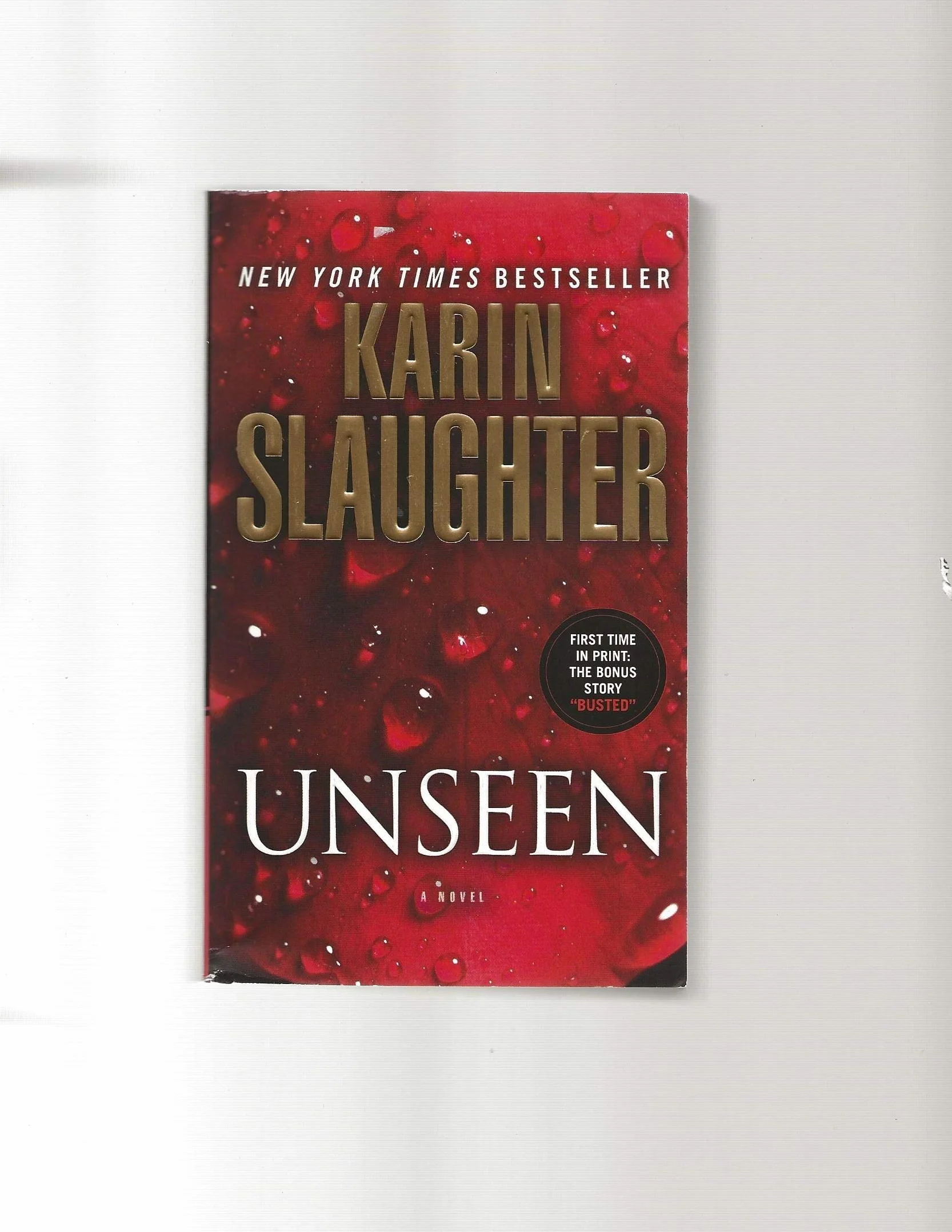 Unseen: A Novel (with Bonus Novella Busted)
