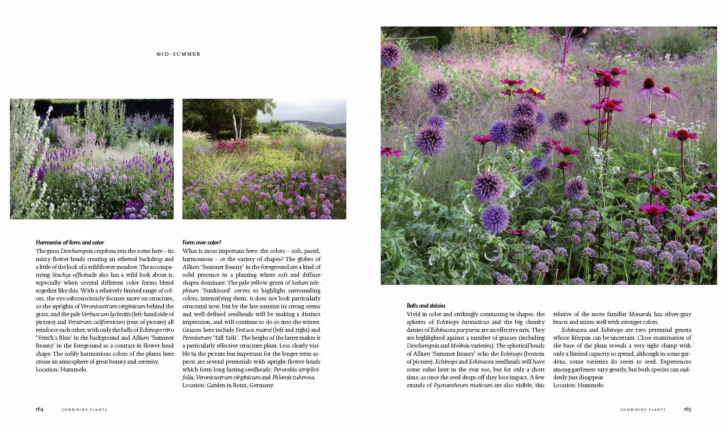 Planting: A New Perspective