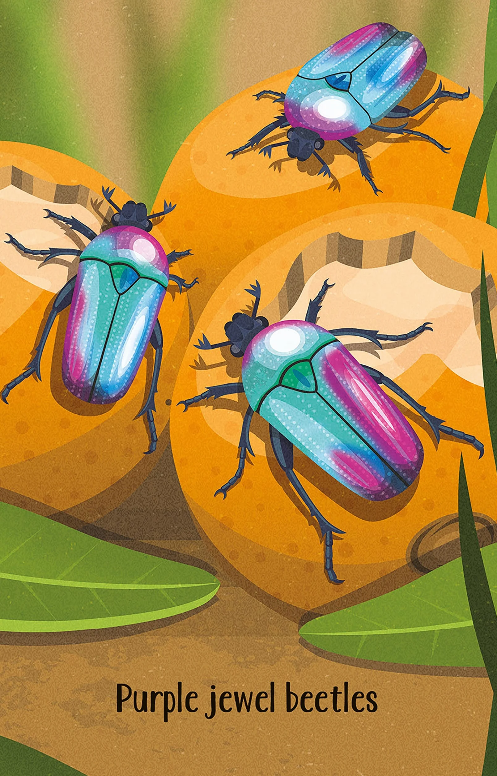 Bugs Snap (Snap Cards)