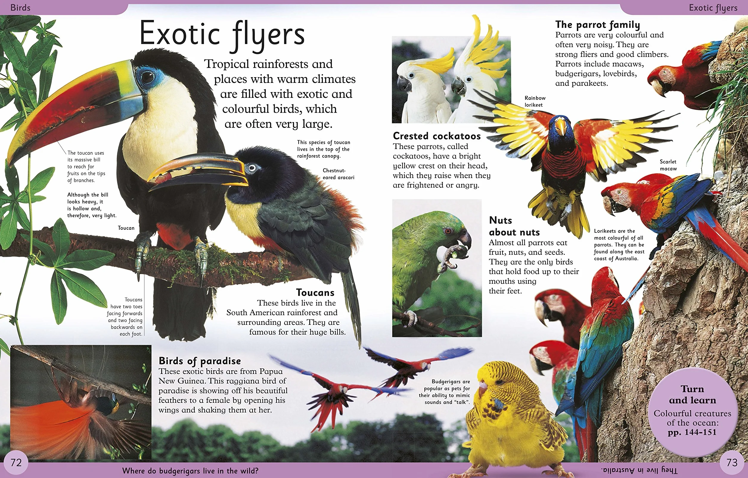 First Animal Encyclopedia: A First Reference Book for Children (DK First Reference)