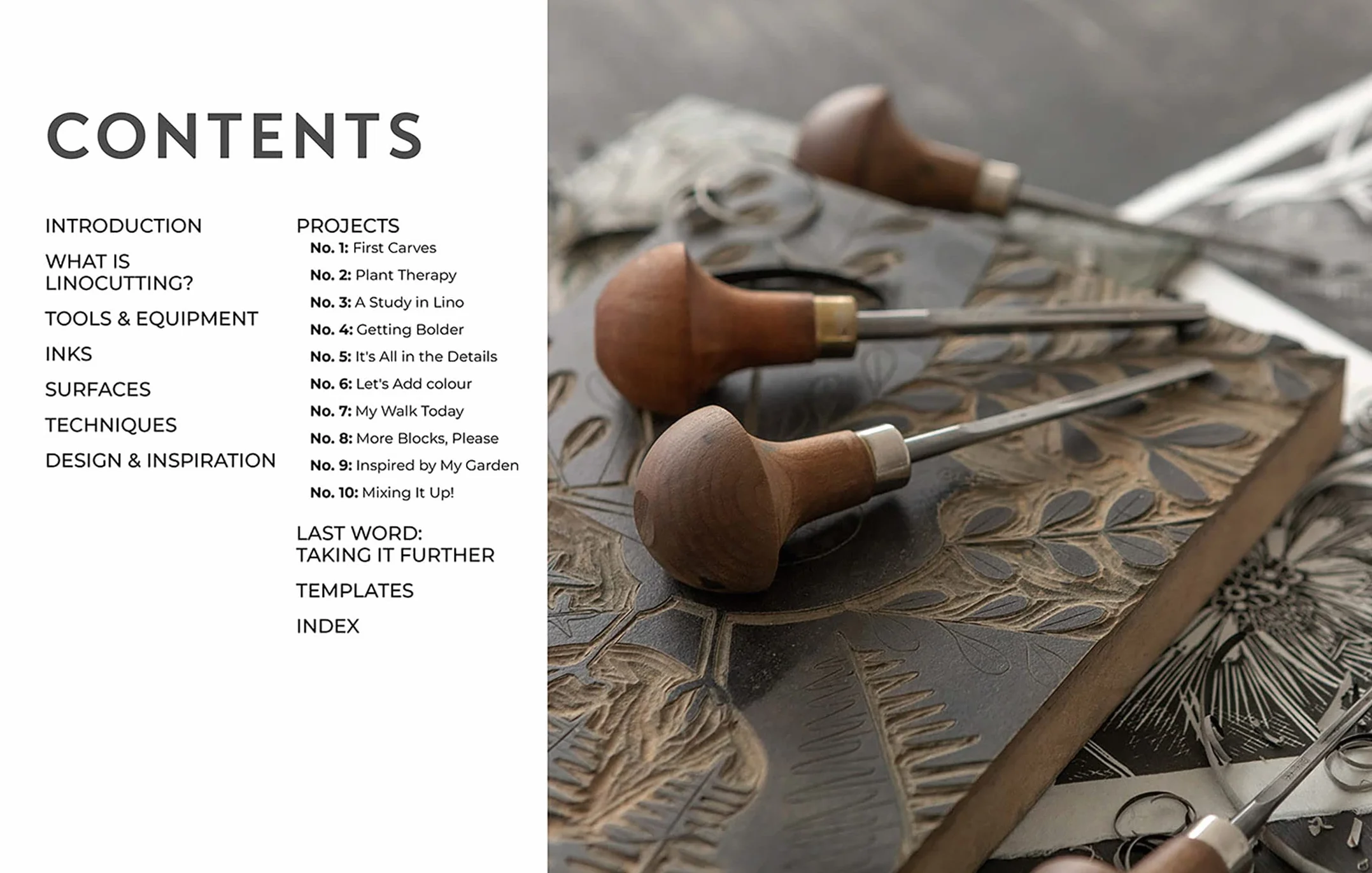 Nature Imprinted: A Complete Guide to Lino Printing with 10 Designs