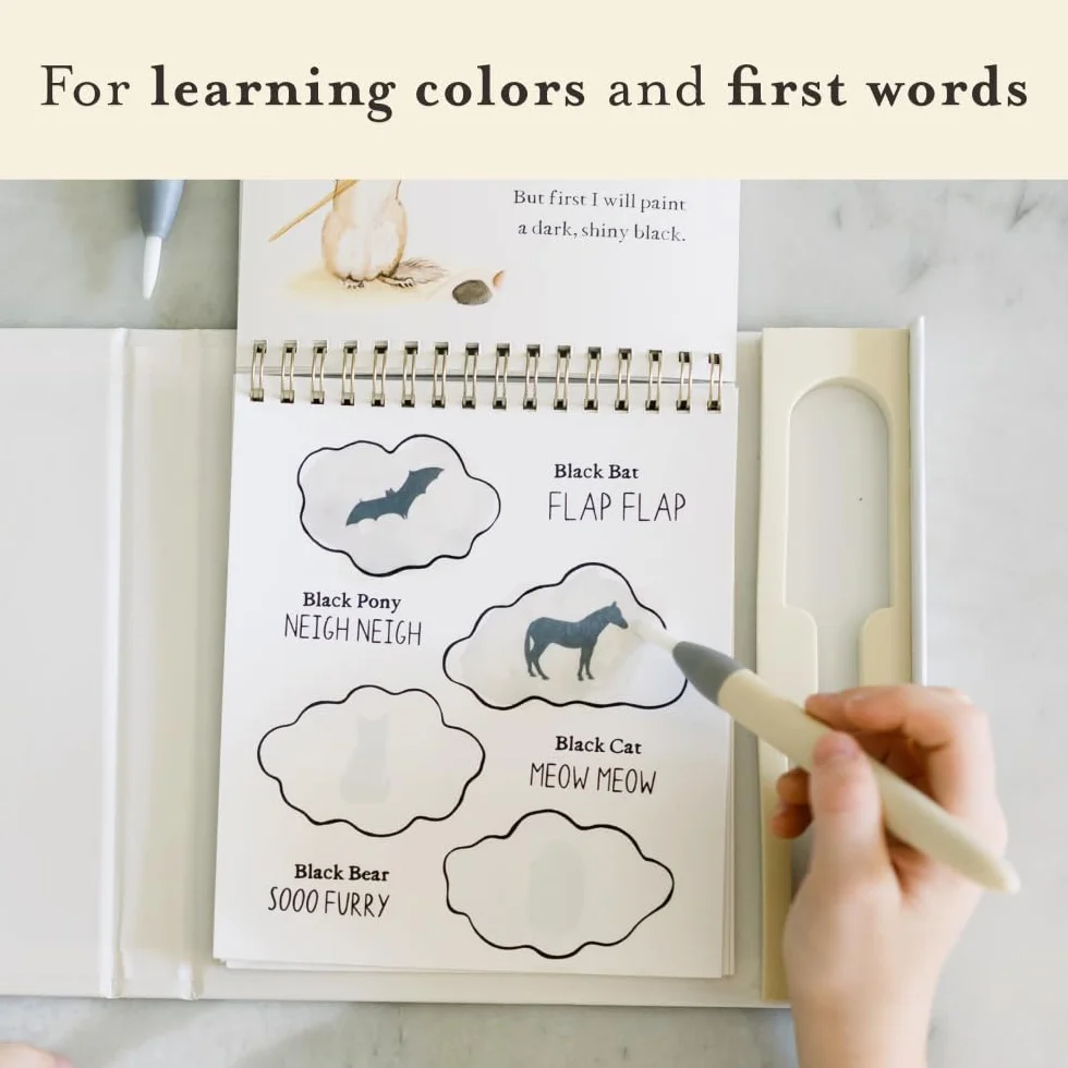 Wishy Washy Water Reveal Edition: Reusable Activity Book Teaching First Words and Colors