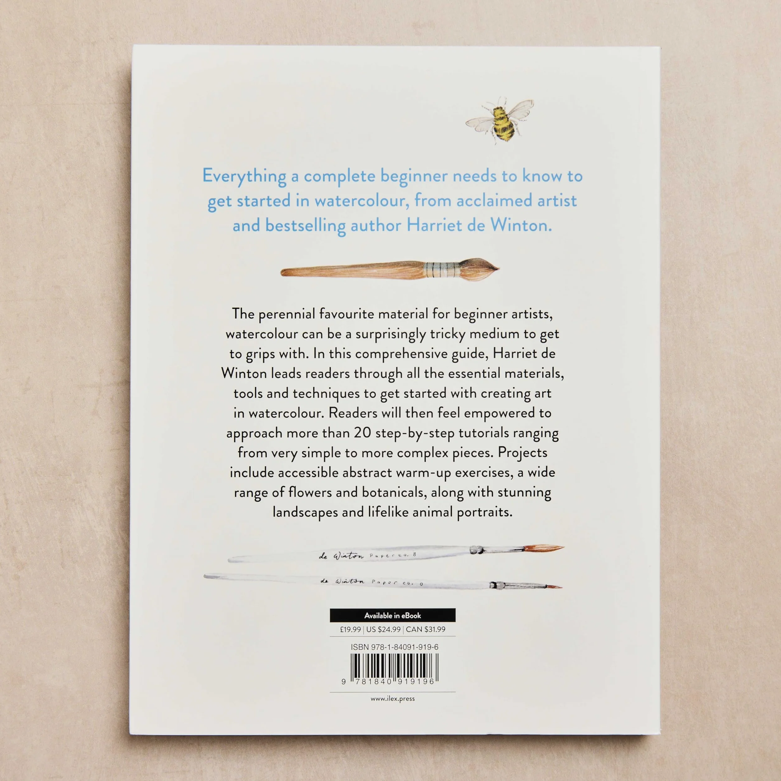 Paint with Watercolour Book: Perfect Arty Christmas Gift for Creative People
