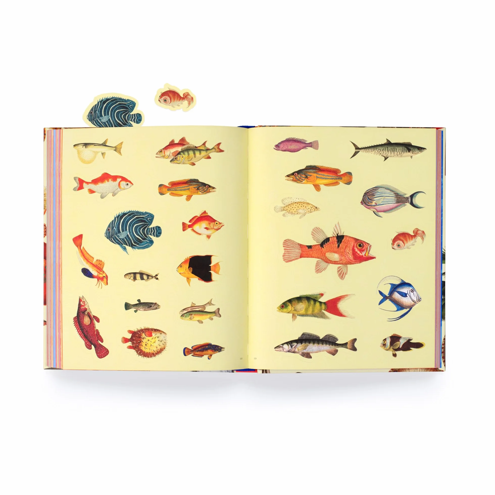 Extraordinary Things Sticker Book