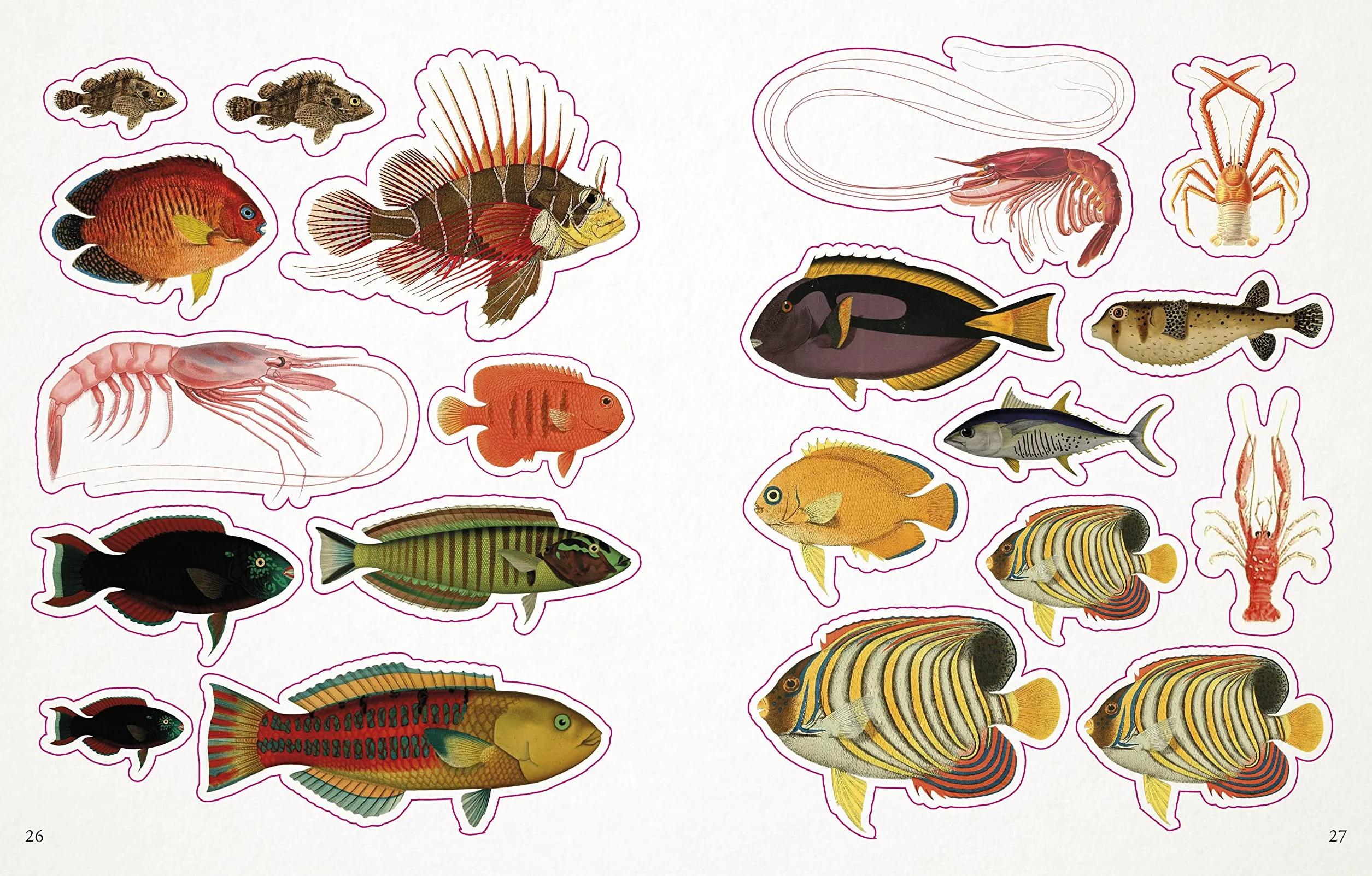 The Seashore Sticker Anthology: 1,000+ Vintage Stickers