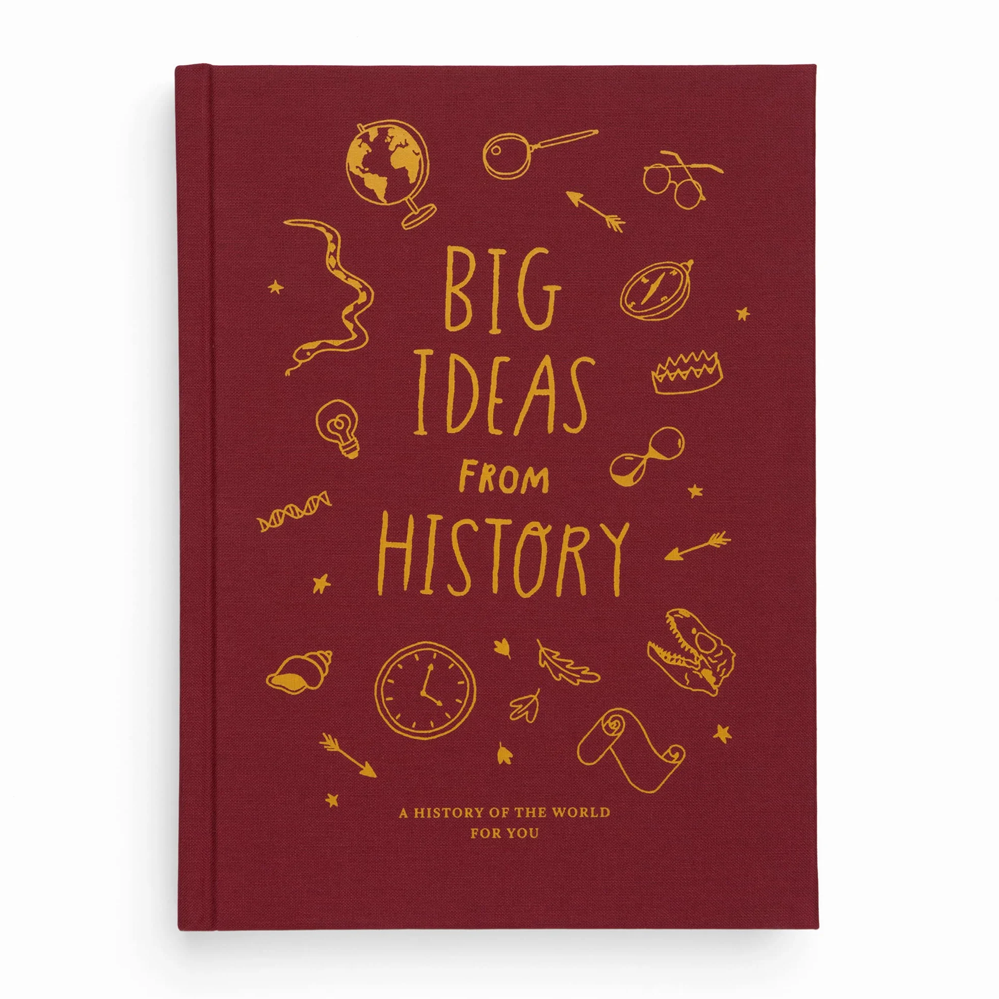 Big Ideas from History: A history of the world for you
