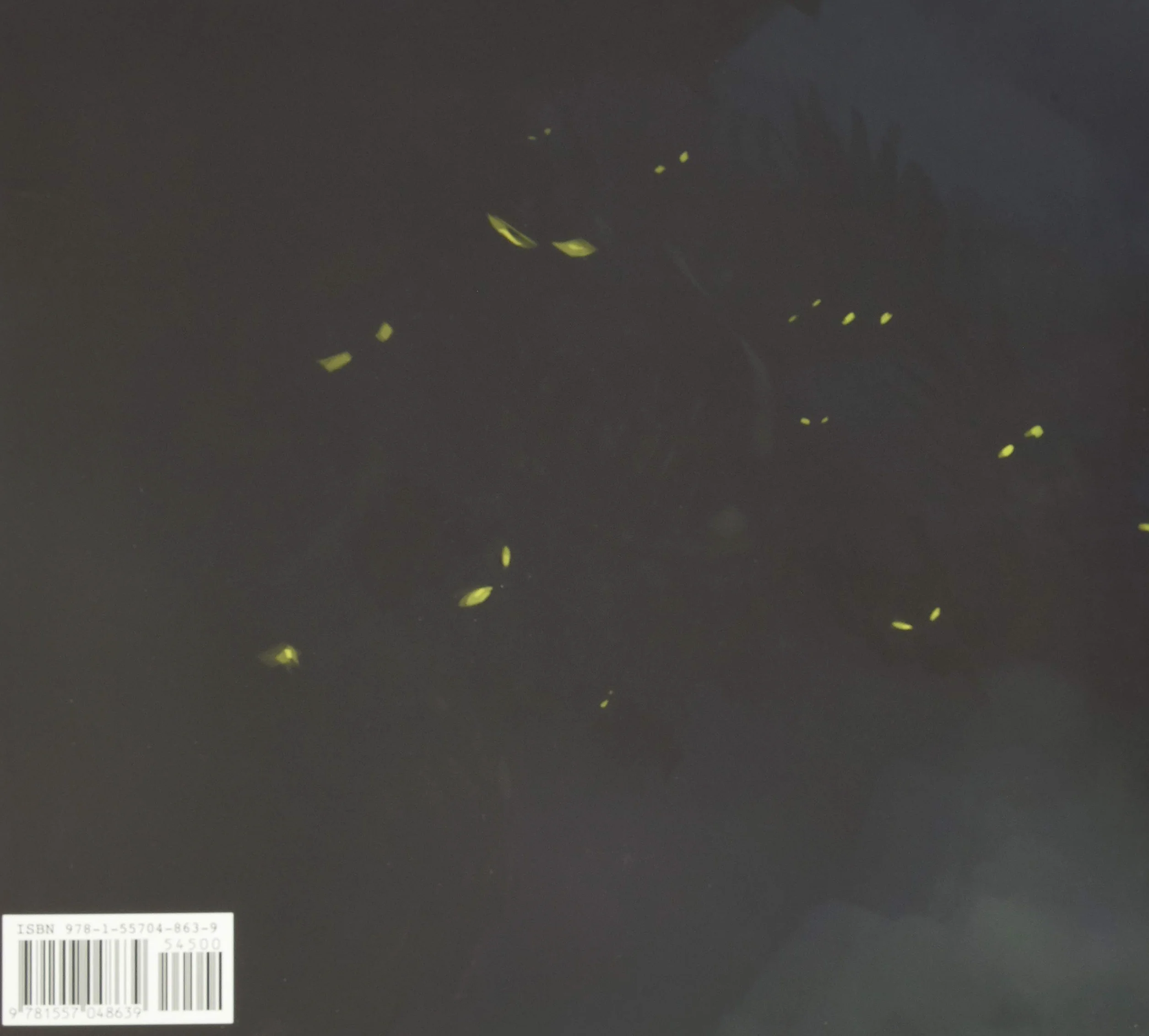 The Art of How to Train Your Dragon