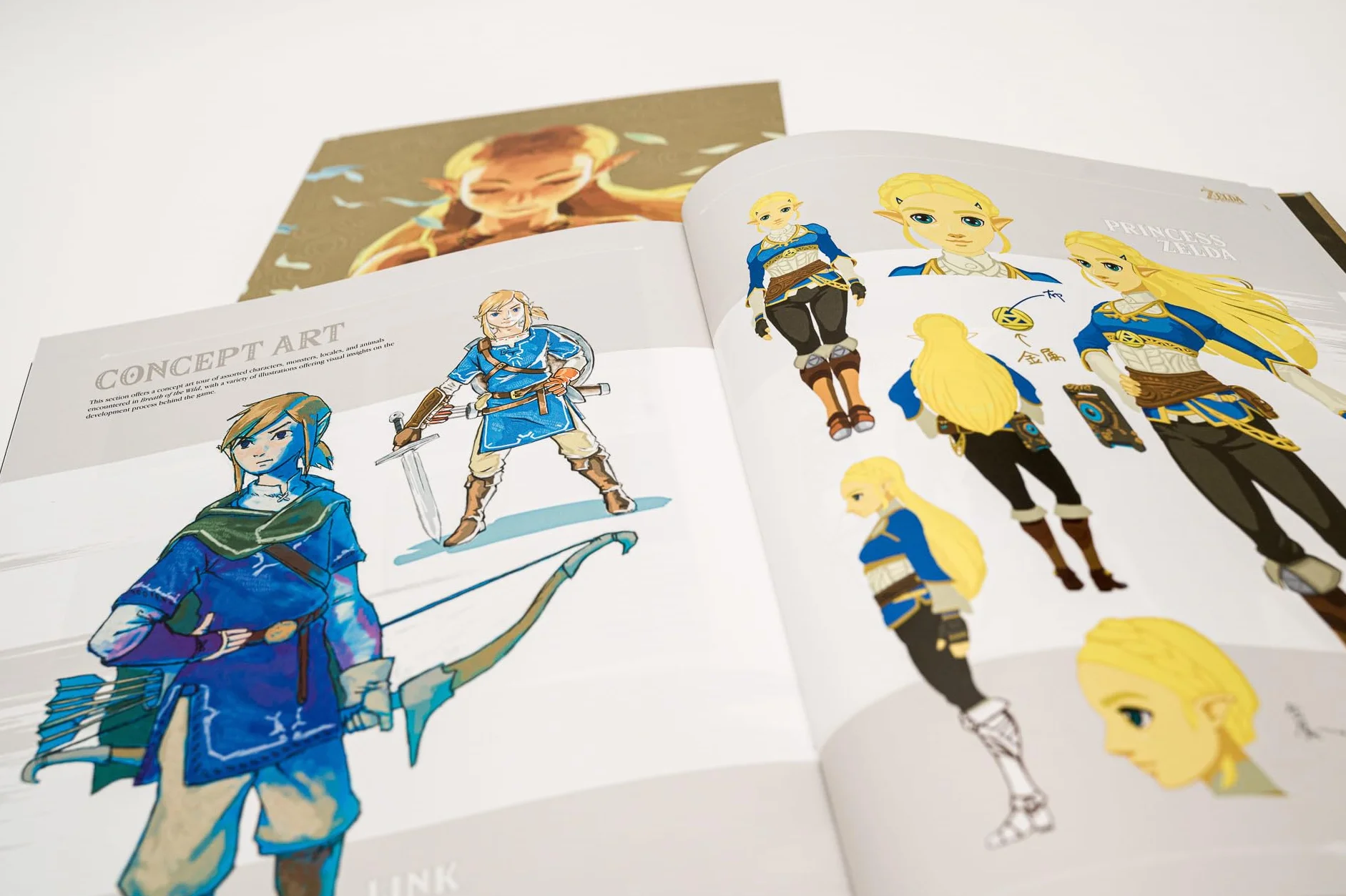 The Legend of Zelda: Breath of the Wild Complete Official Guide Expanded Edition