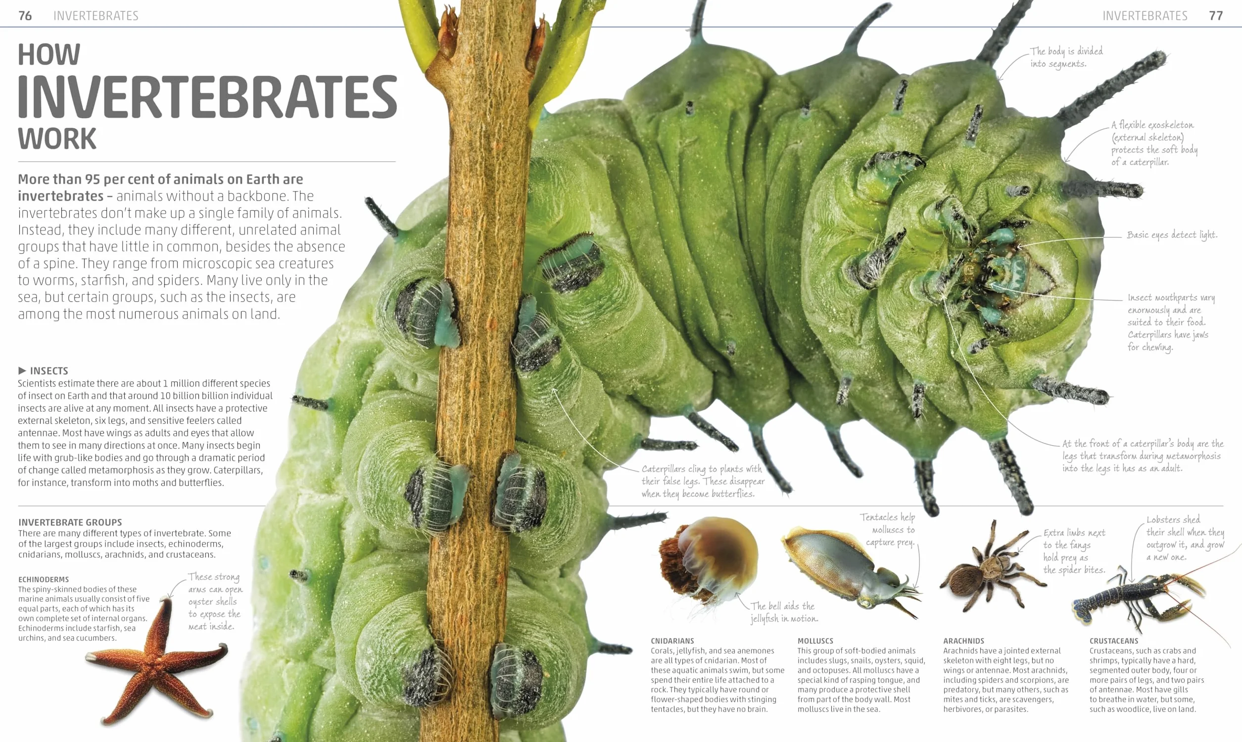 Explanatorium of Nature: Where the Wonders of the World are Revealed