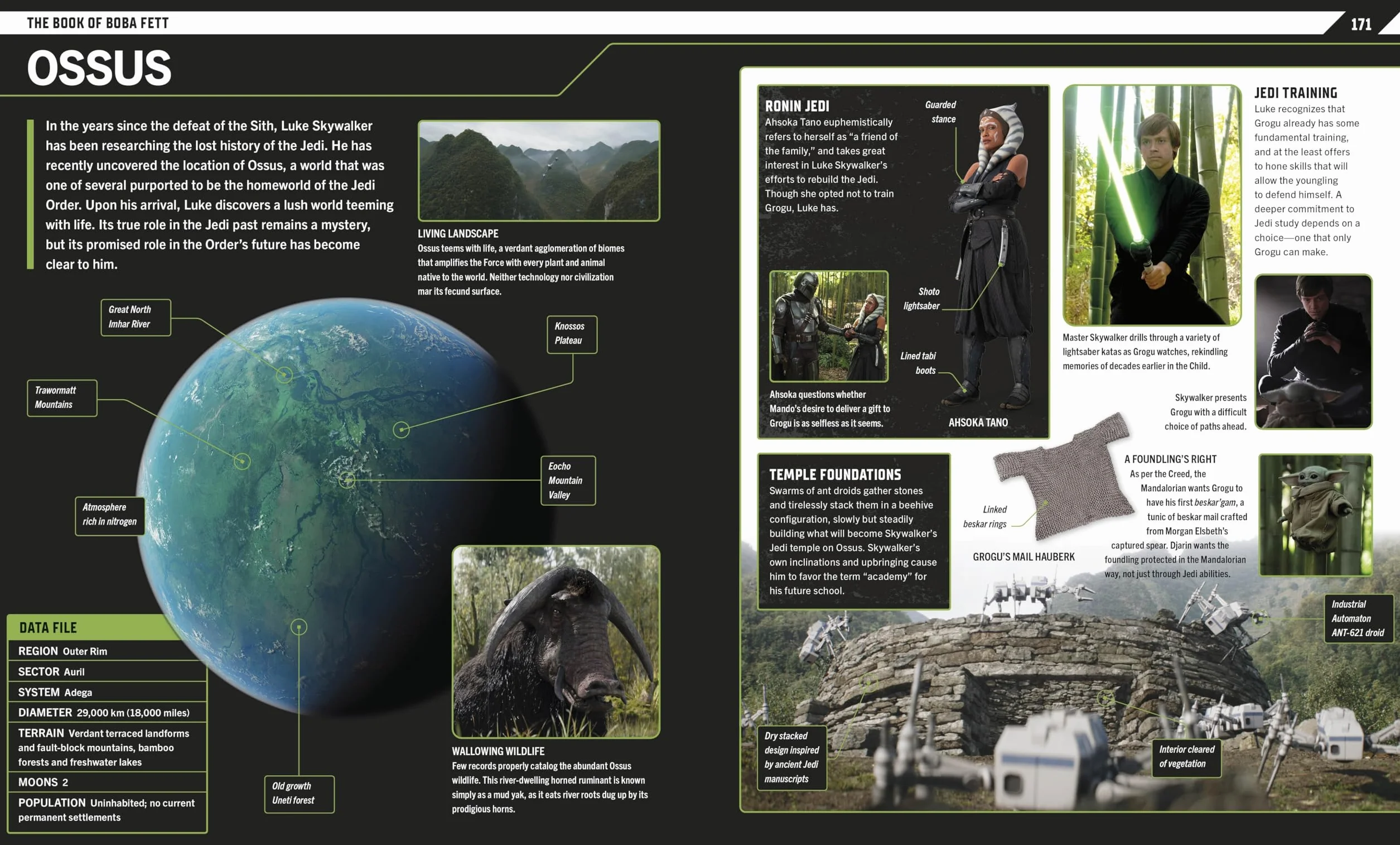Star Wars The Mandalorian Visual Guide