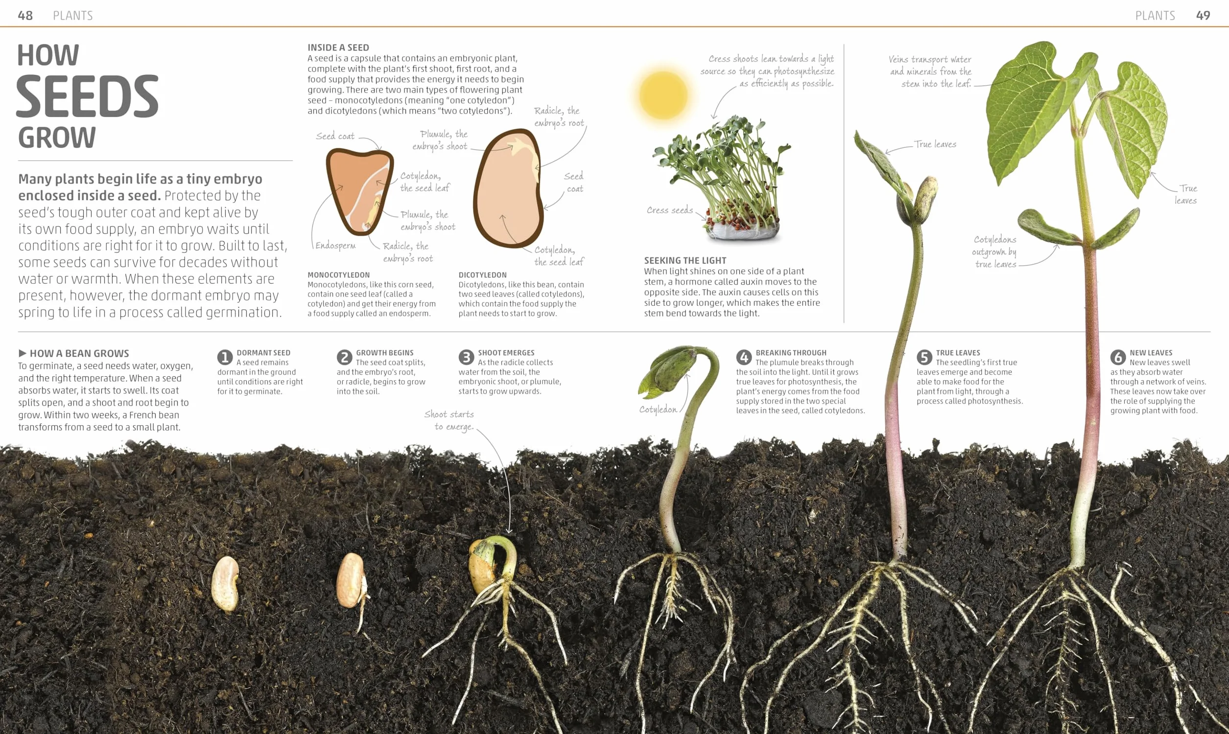 Explanatorium of Nature: Where the Wonders of the World are Revealed