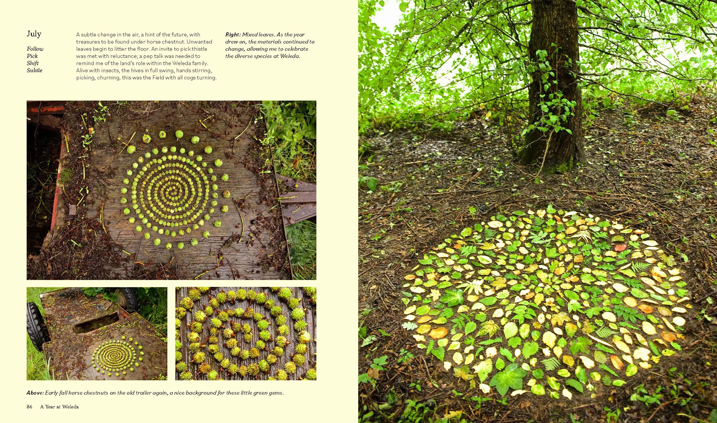 Land Art: Creating Artworks in and with the Landscape