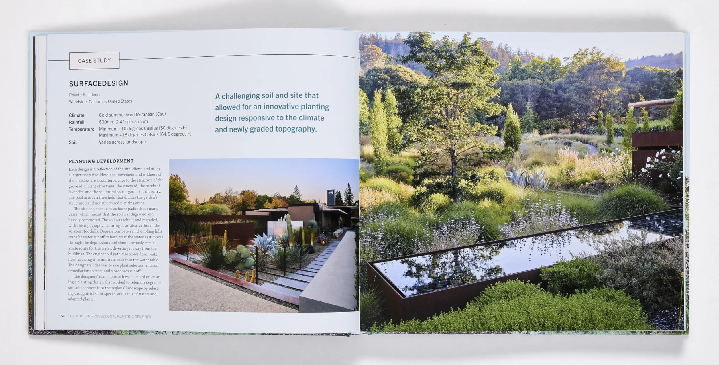 Planting Designer: Creating Beautiful, Sustainable, Resilient Gardens for the Twenty-First Century