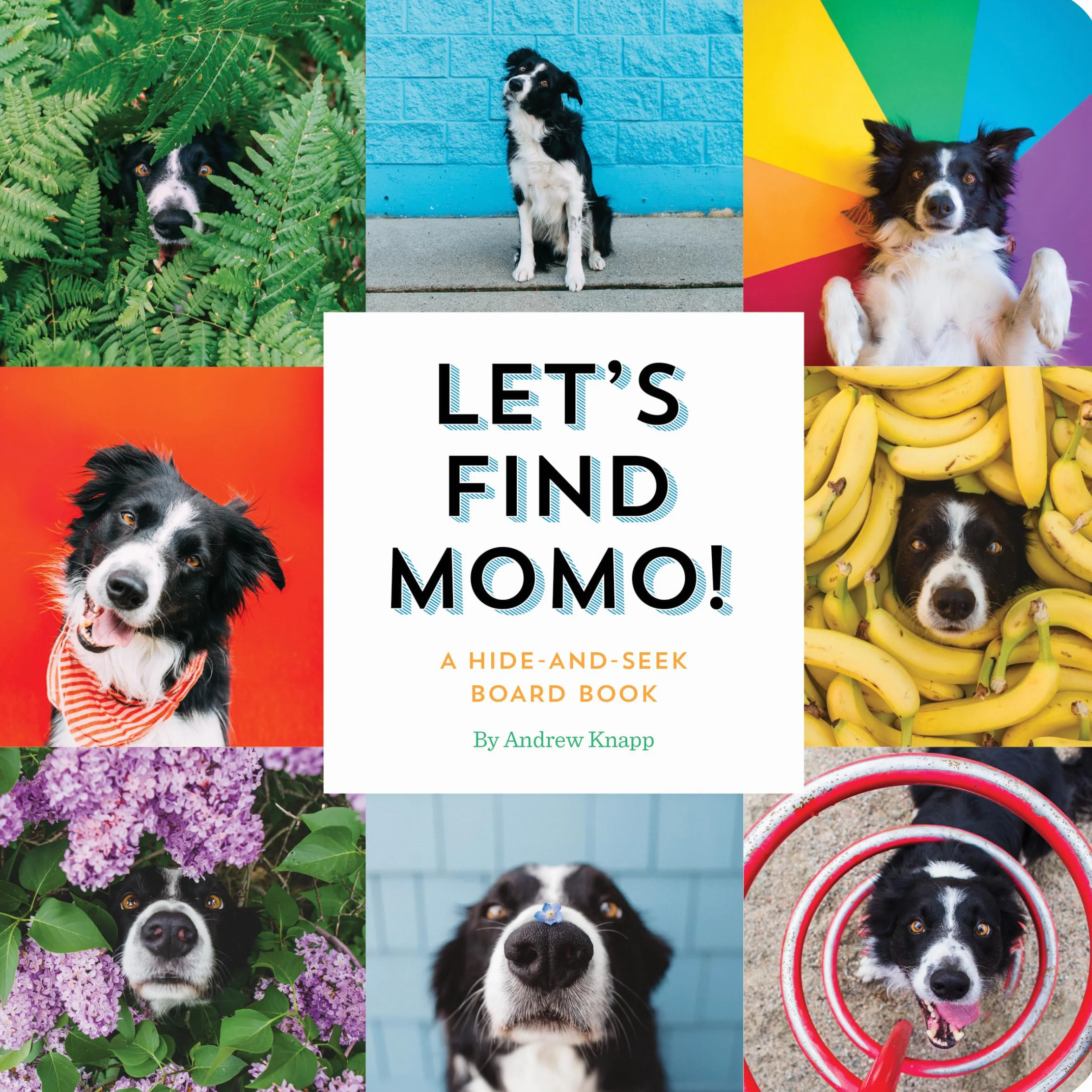 Let's Find Momo!: A Hide-and-Seek Board Book: 3