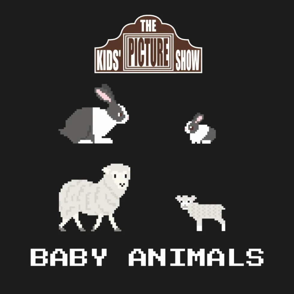 Baby Animals