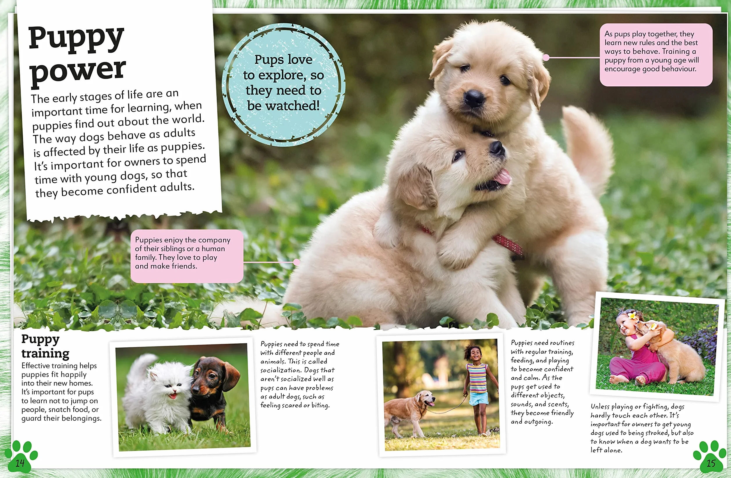 My Book of Dogs and Puppies: A Fact-Filled Guide to Your Canine Friends