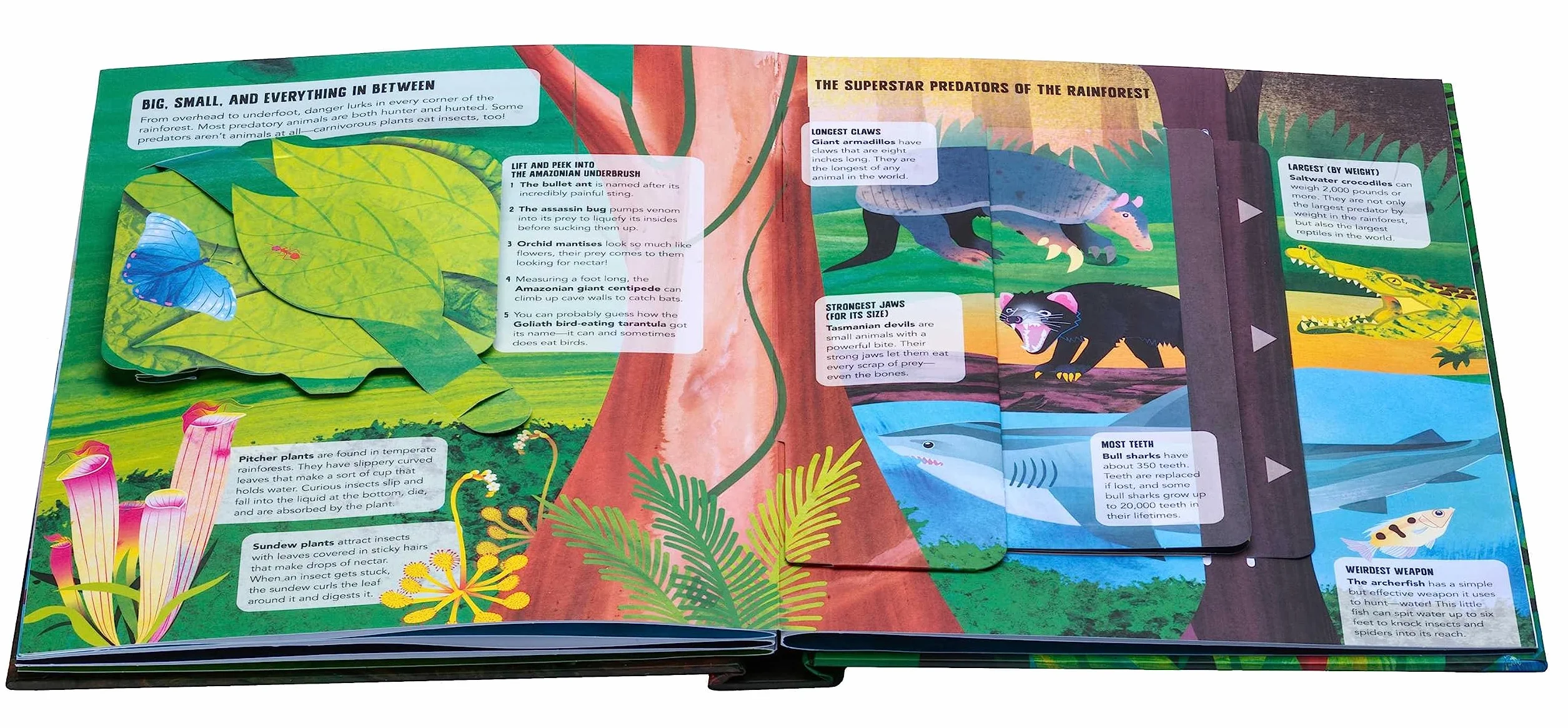 Paws, Claws, and Snapping Jaws Pop-Up Book (Reinhart Pop-Up Studio): A Rainforest Predators Pop-Up