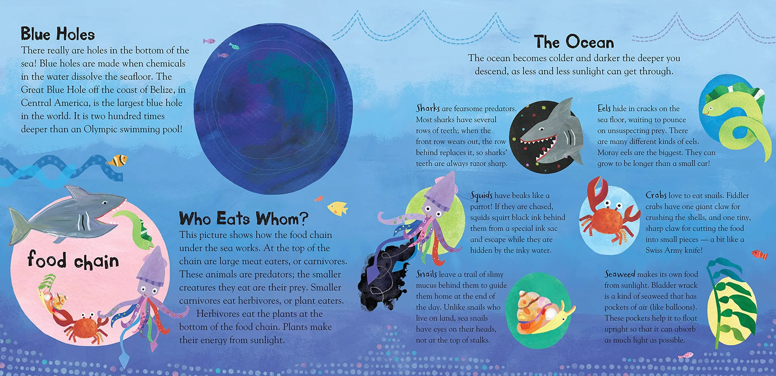 A Hole in the Bottom of the Sea (Barefoot Singalongs)