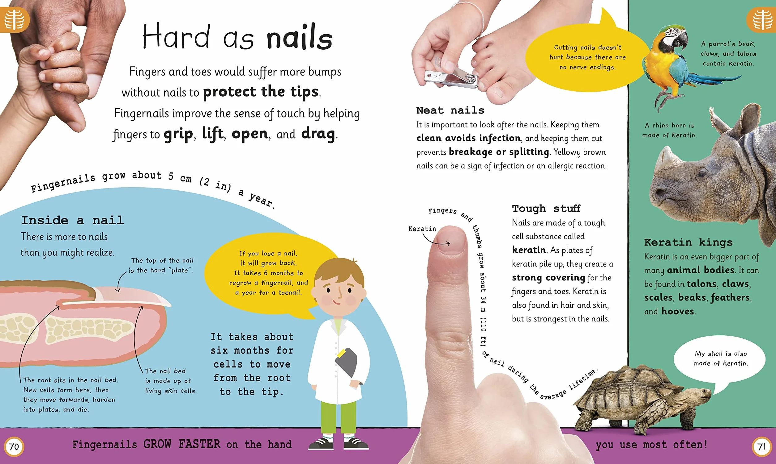 My Very Important Human Body Encyclopedia: For Little Learners