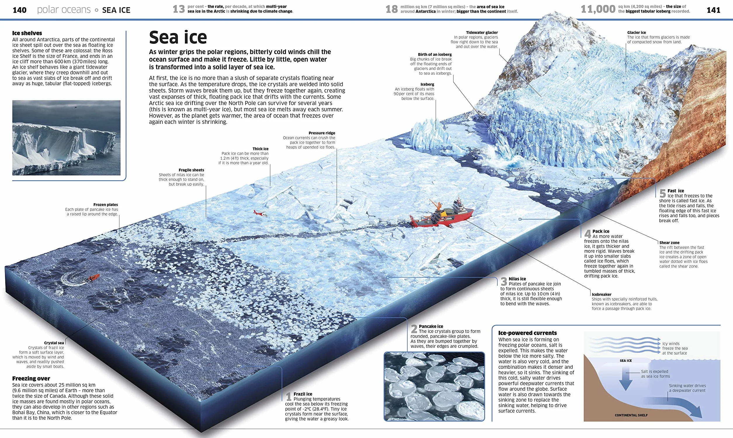 Knowledge Encyclopedia Ocean!: Our Watery World As You've Never Seen It Before