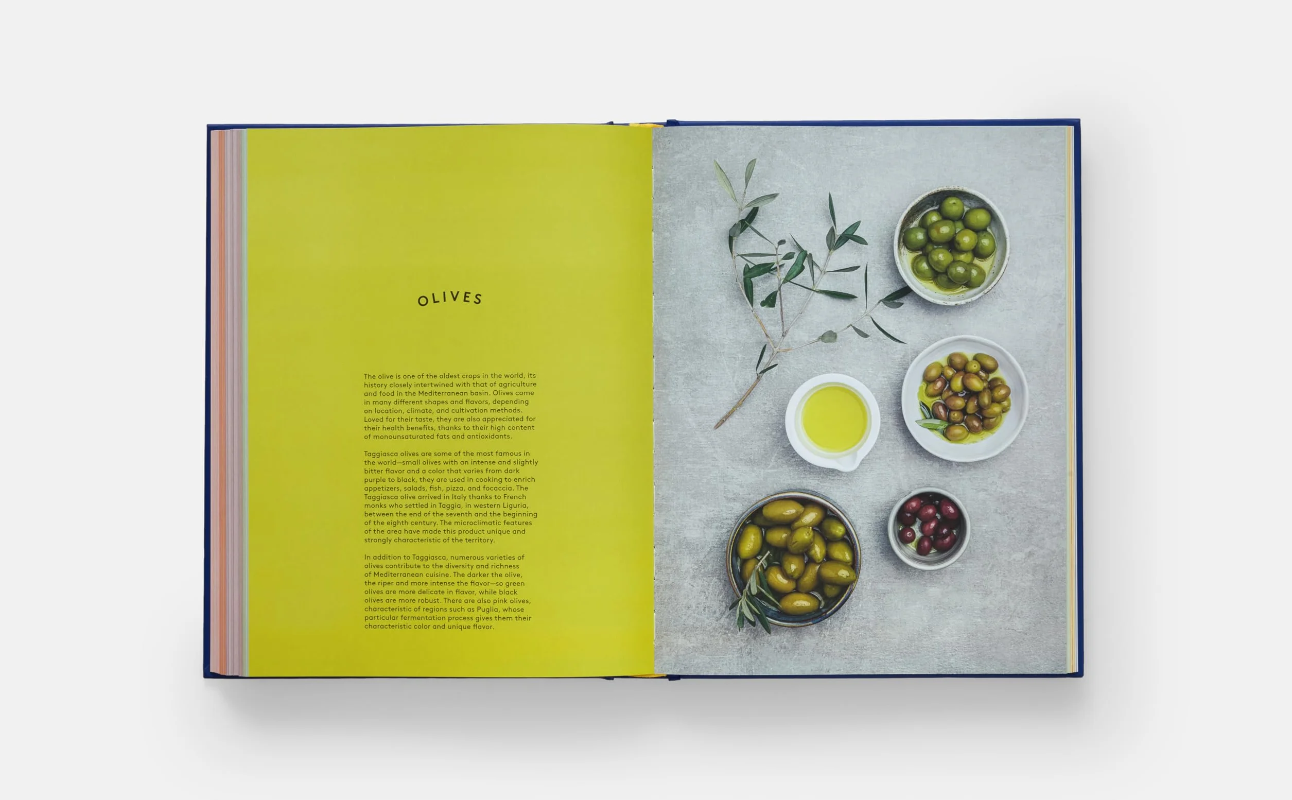 The Book of Pasta