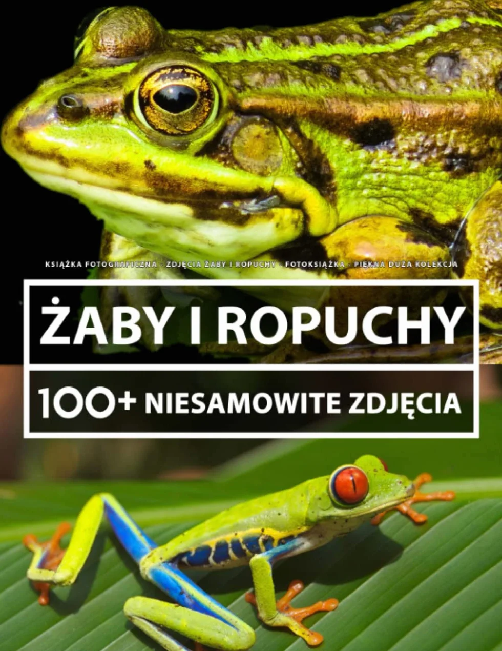 Książka Fotograficzna 100+ Zdjęcia Żaby I Ropuchy Dla Dzieci I Dorosłych
