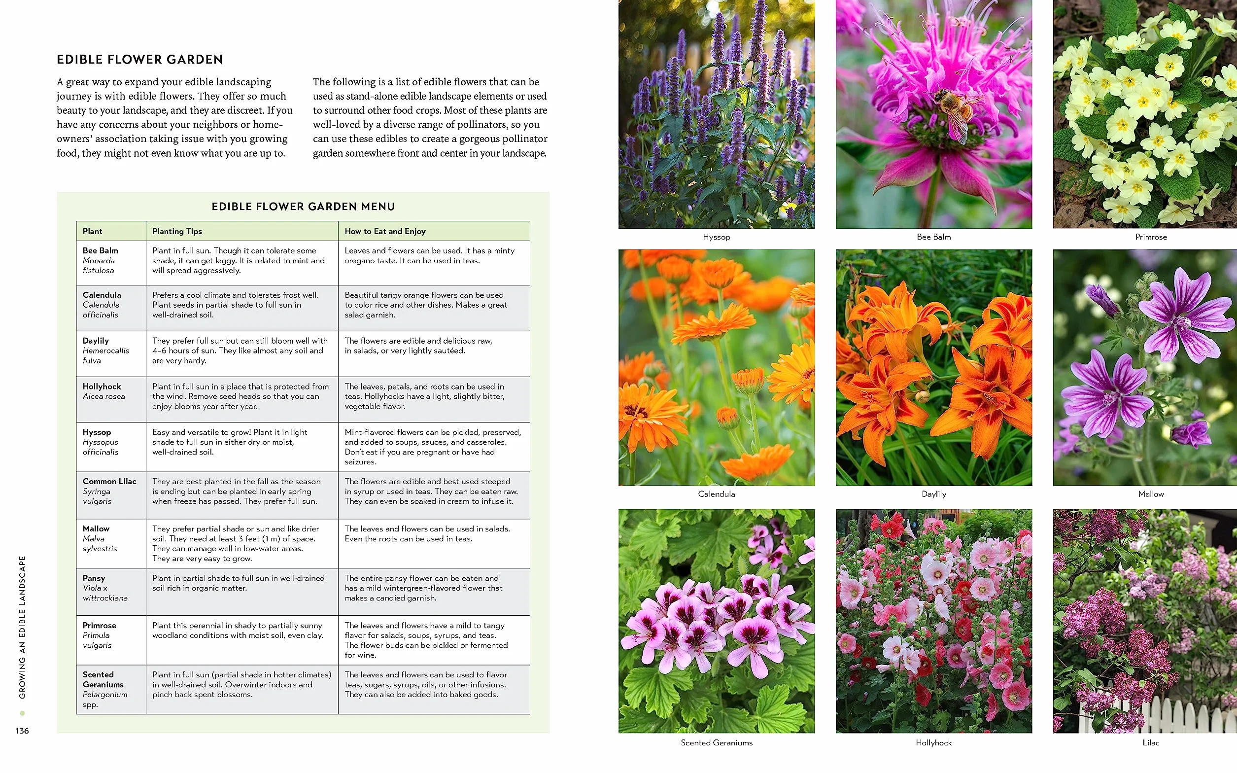 Growing an Edible Landscape: How to Transform Your Outdoor Space Into a Food Garden