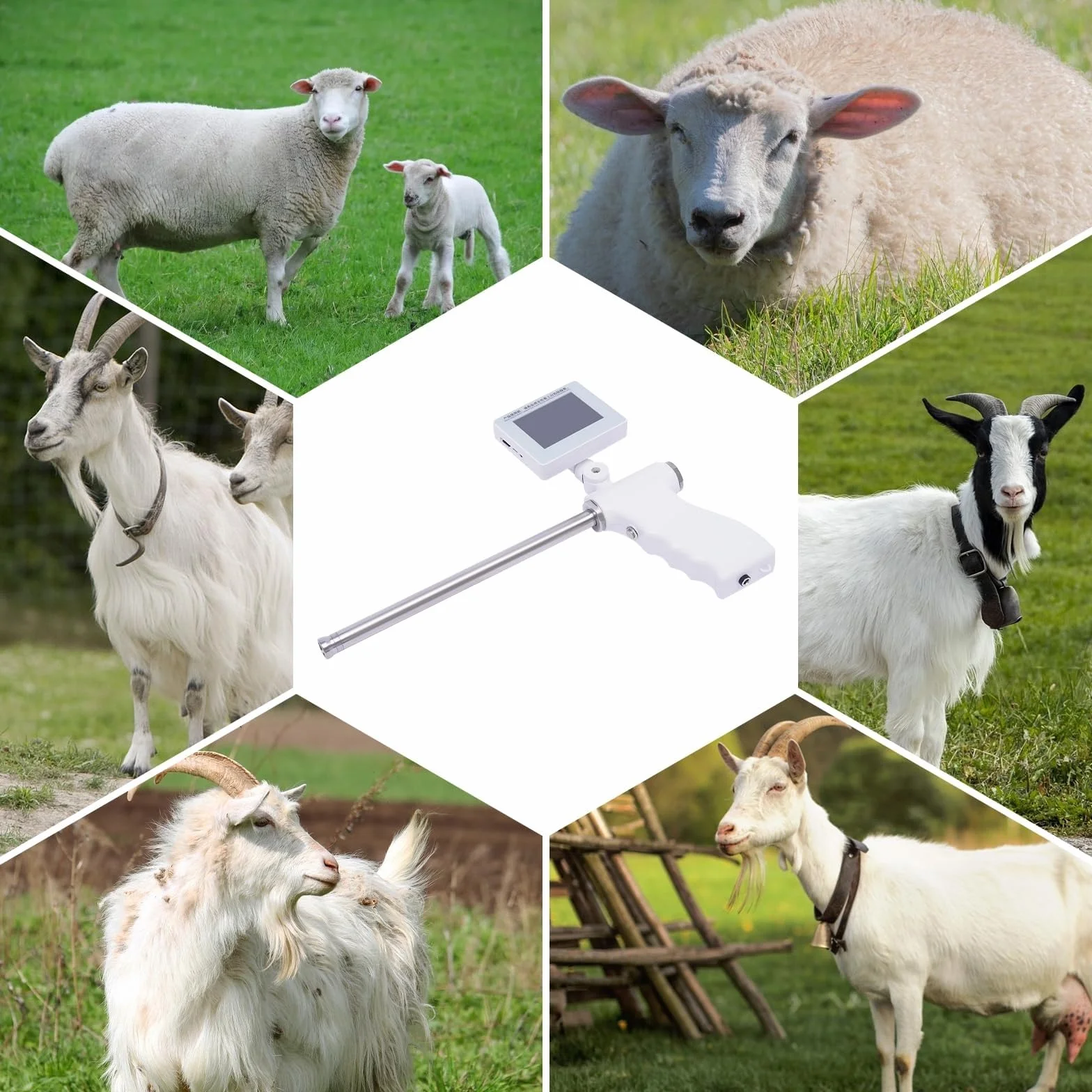 Pistolet do sztucznej inseminacji dla kóz i owiec, zestaw wizualny z ekranem LED 360°, kamera 15 MP, narzędzie do hodowli weterynaryjnej, stała temperatura