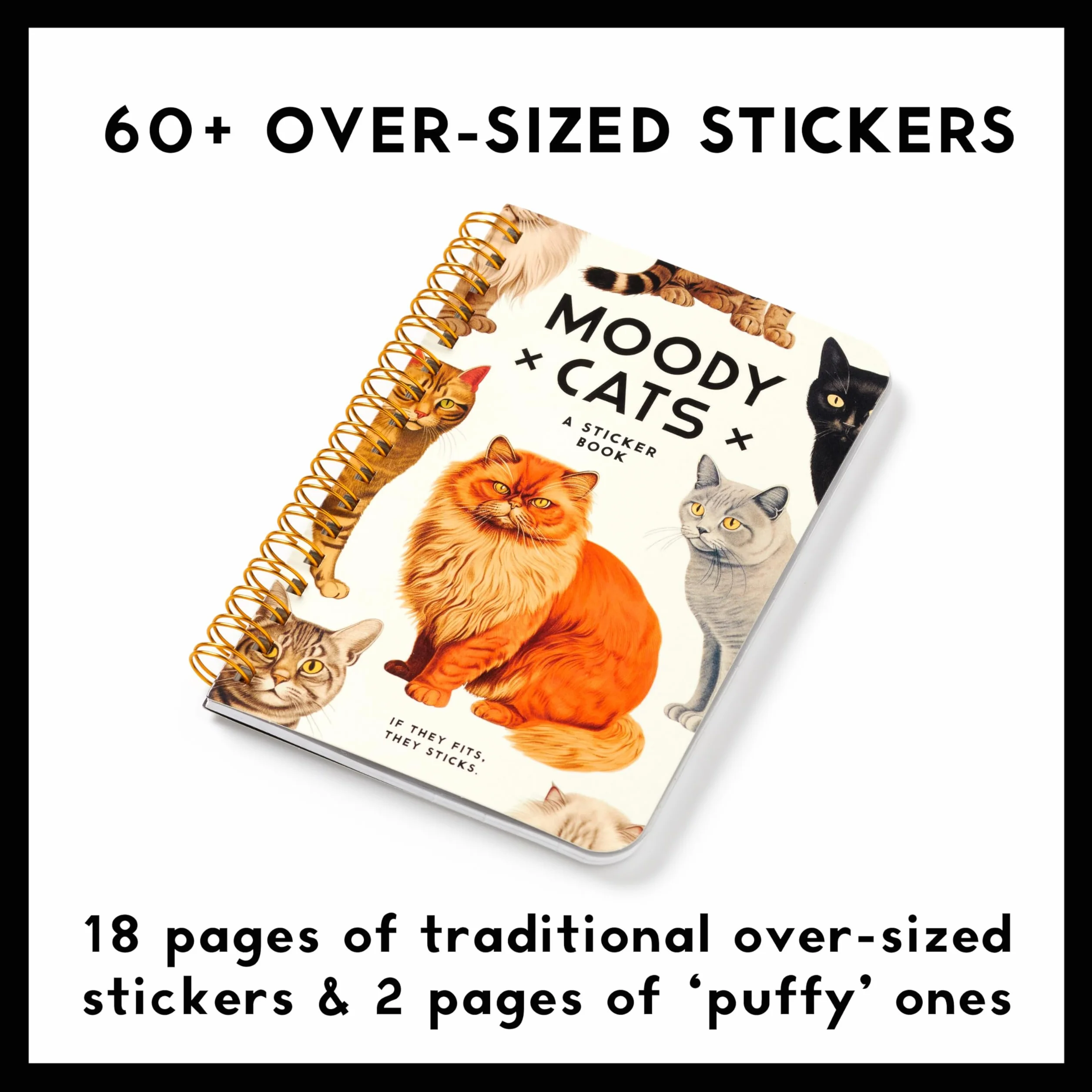 Moody Cats Sticker Book