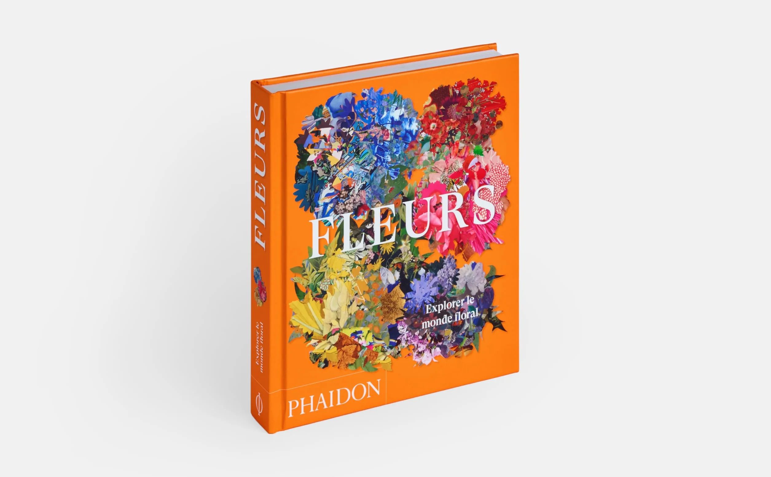 Explorer le monde floral