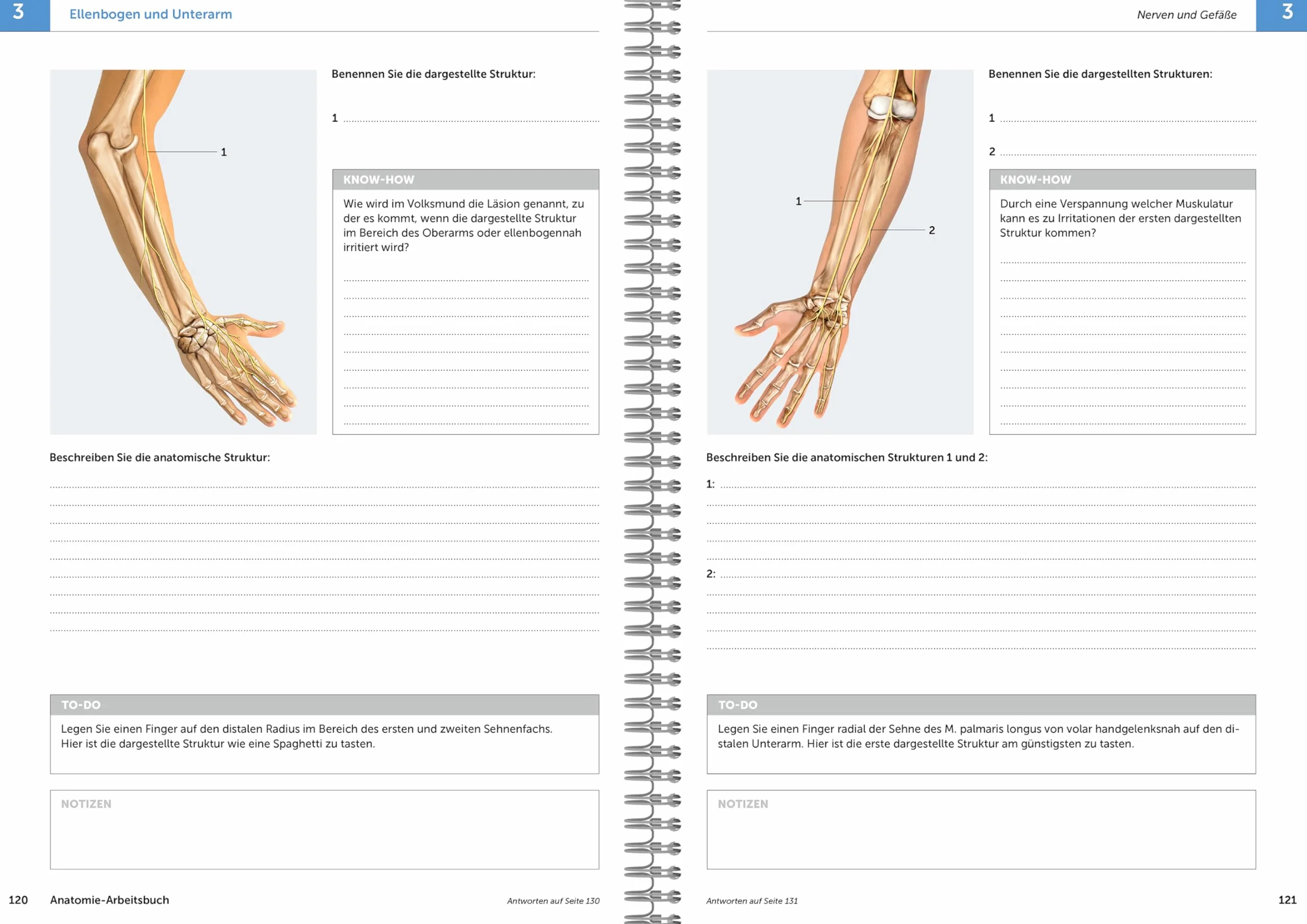 Anatomie-Arbeitsbuch: Anatomie aktiv erfahren und verstehen