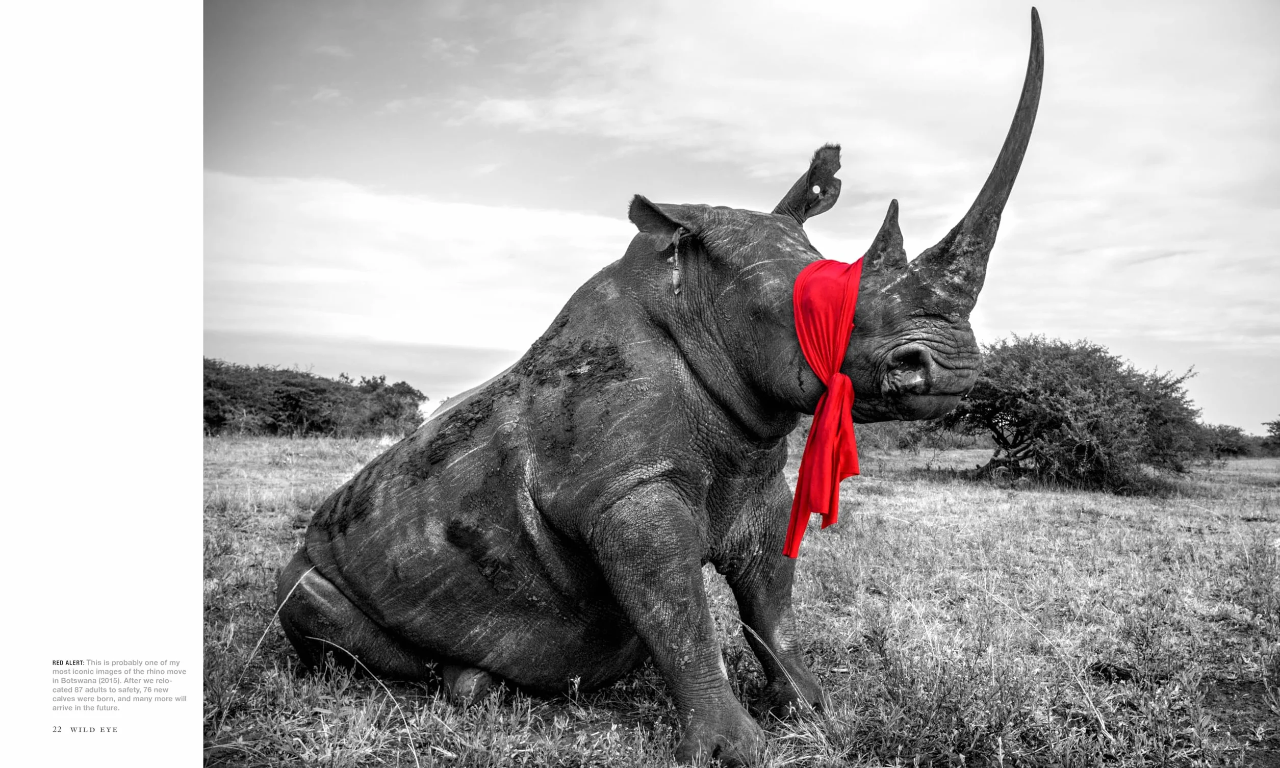 Wild Eye: A Life in Photographs