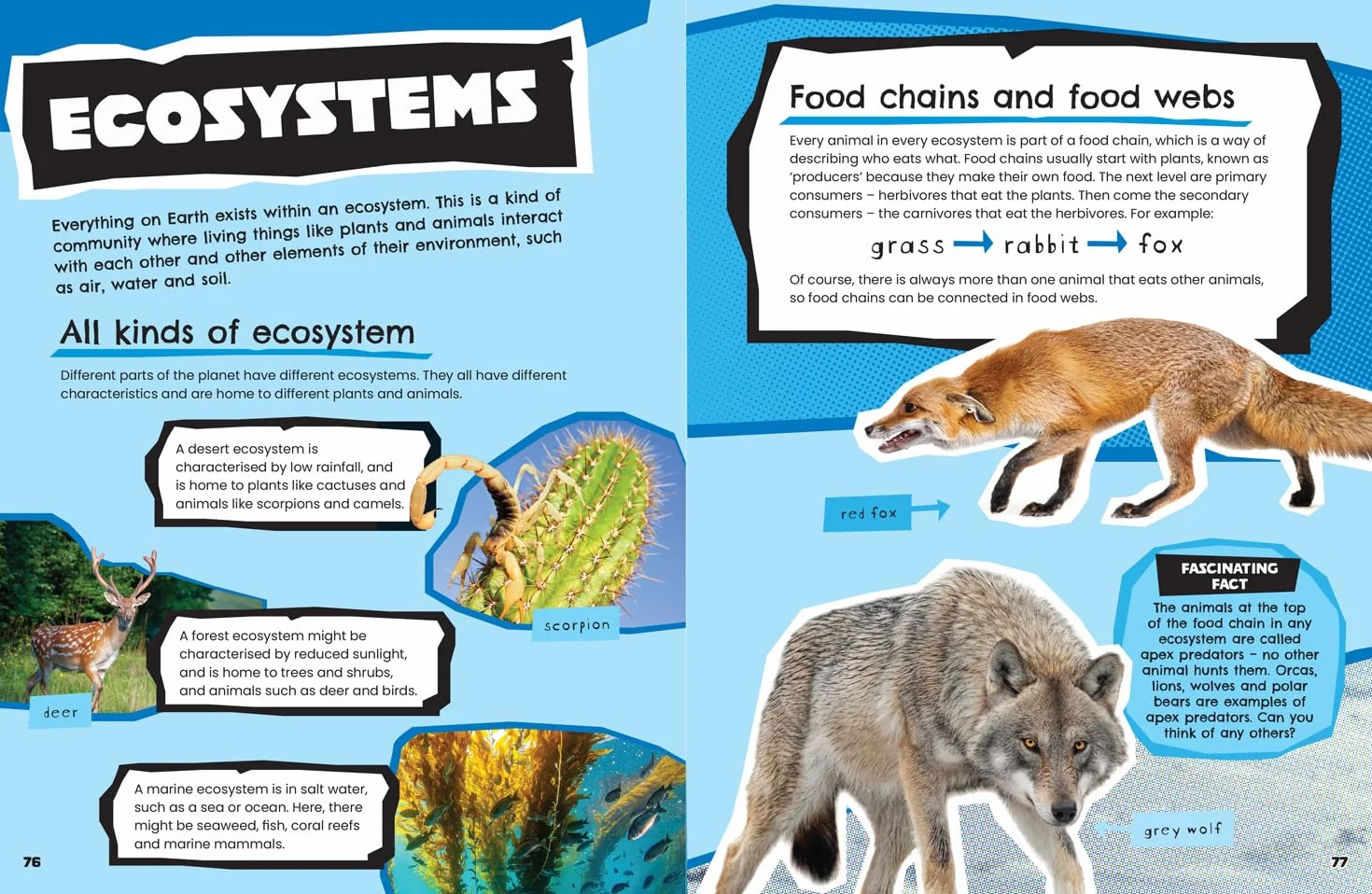 Animals: Discover fascinating facts about wildlife