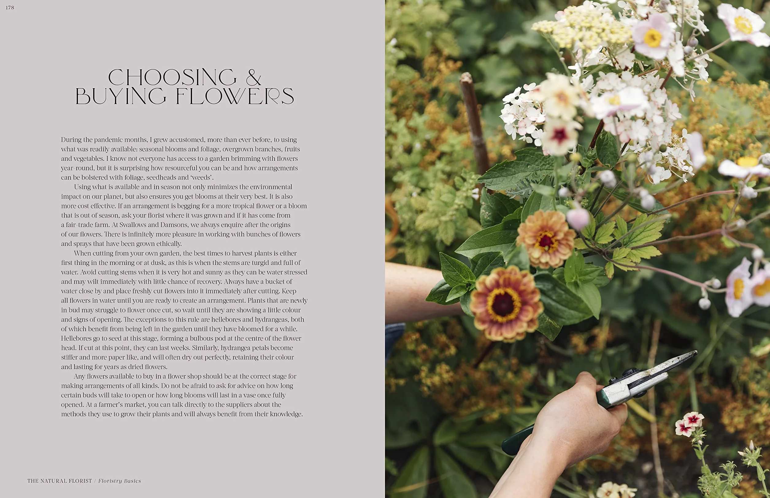 Flower Philosophy /anglais: Seasonal Projects to Inspire & Restore