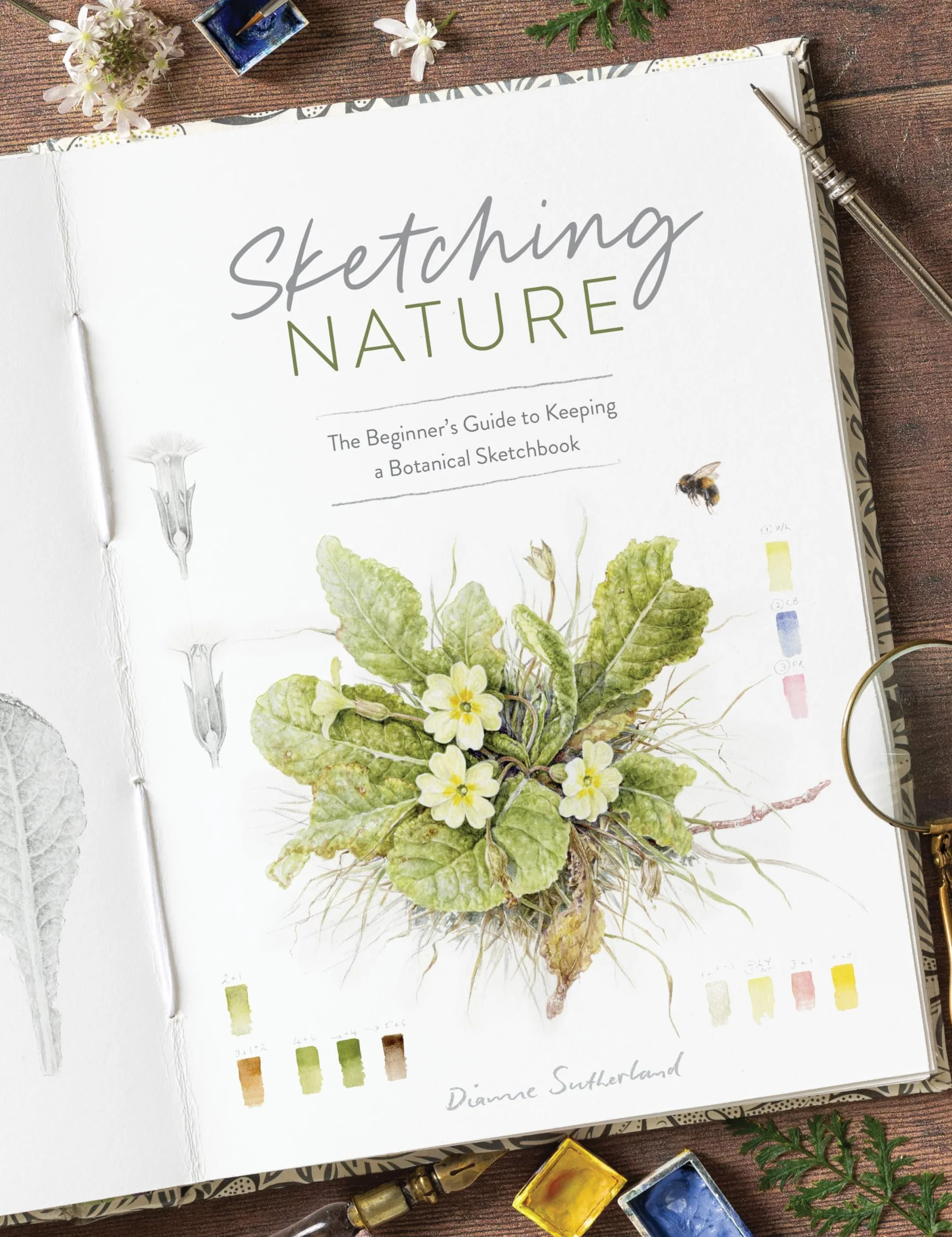 Sketching Nature: The Beginner's Guide to Keeping a Botanical Sketchbook