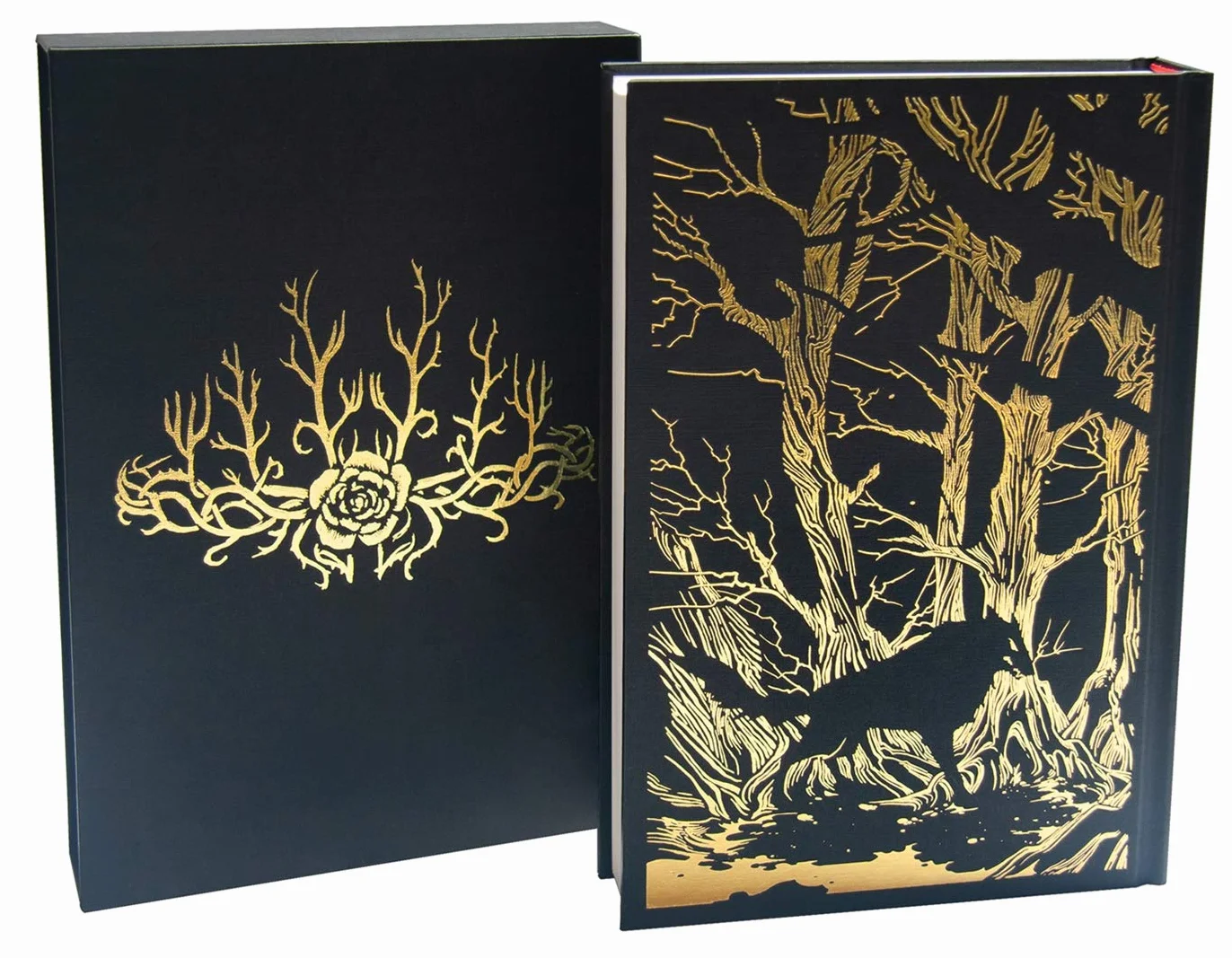A Court of Thorns and Roses Collector's Edition: 1