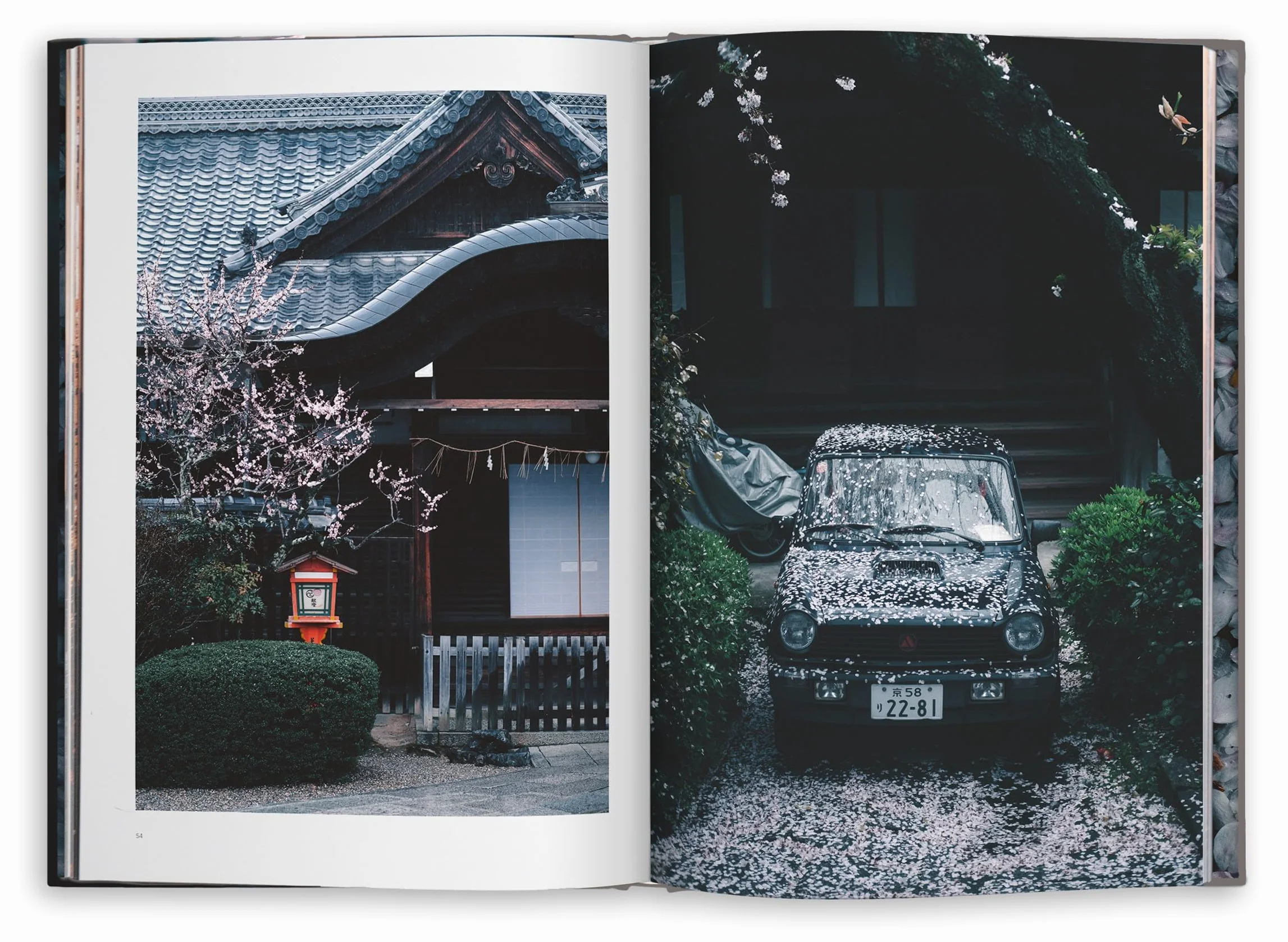 Kyoto Dreaming